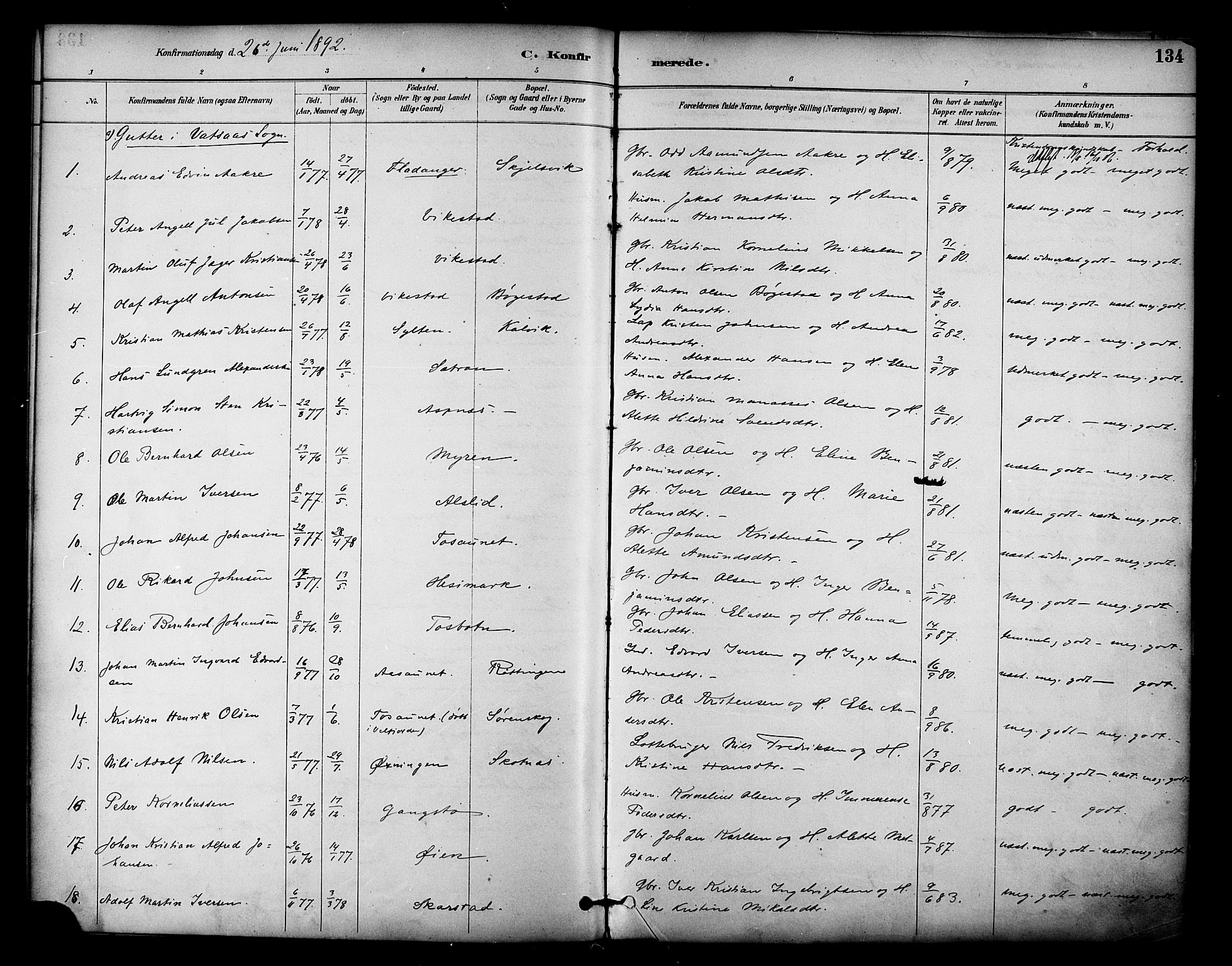 Ministerialprotokoller, klokkerbøker og fødselsregistre - Nordland, AV/SAT-A-1459/810/L0150: Parish register (official) no. 810A10 /1, 1884-1895, p. 134