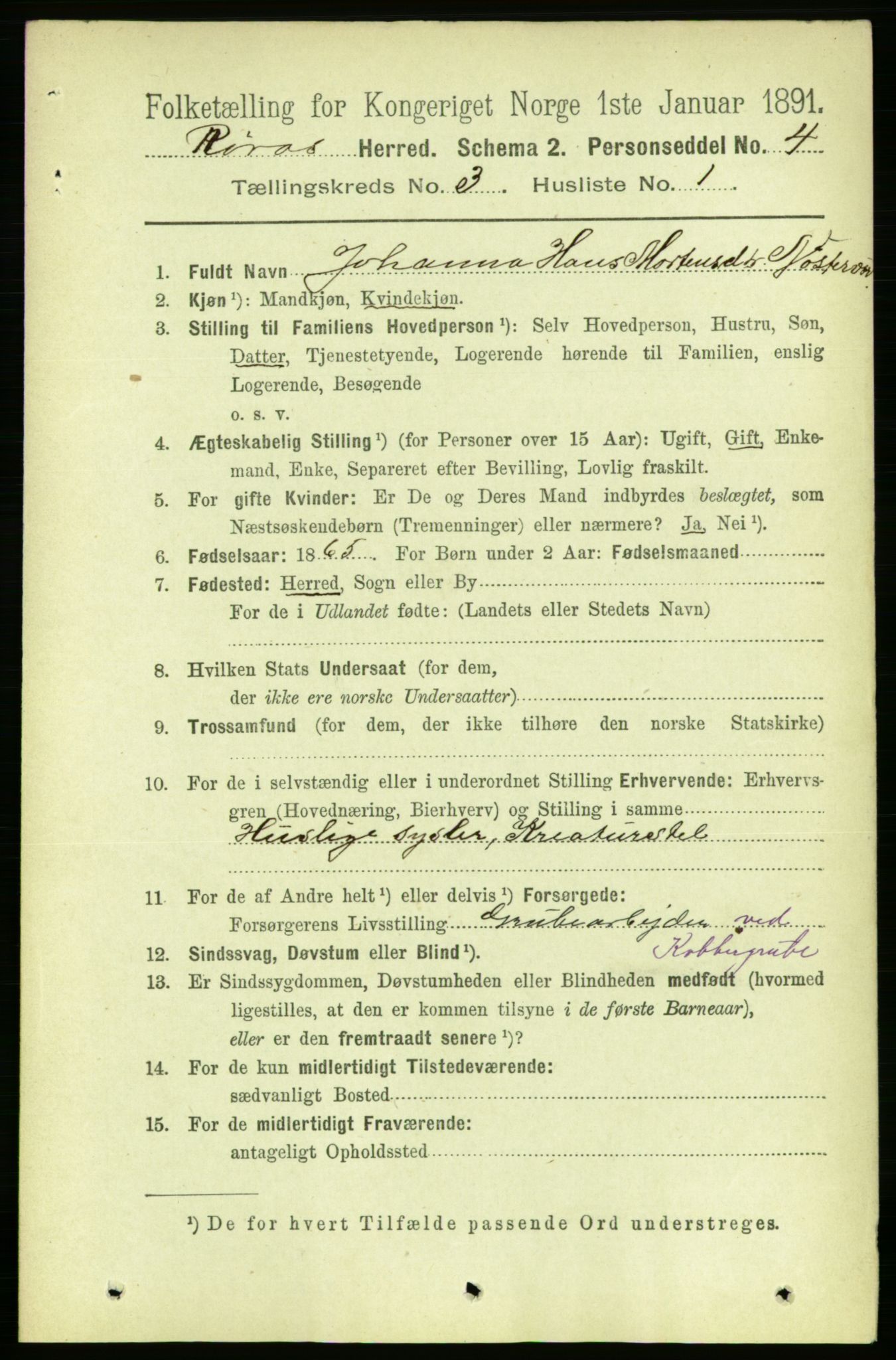 RA, 1891 census for 1640 Røros, 1891, p. 527