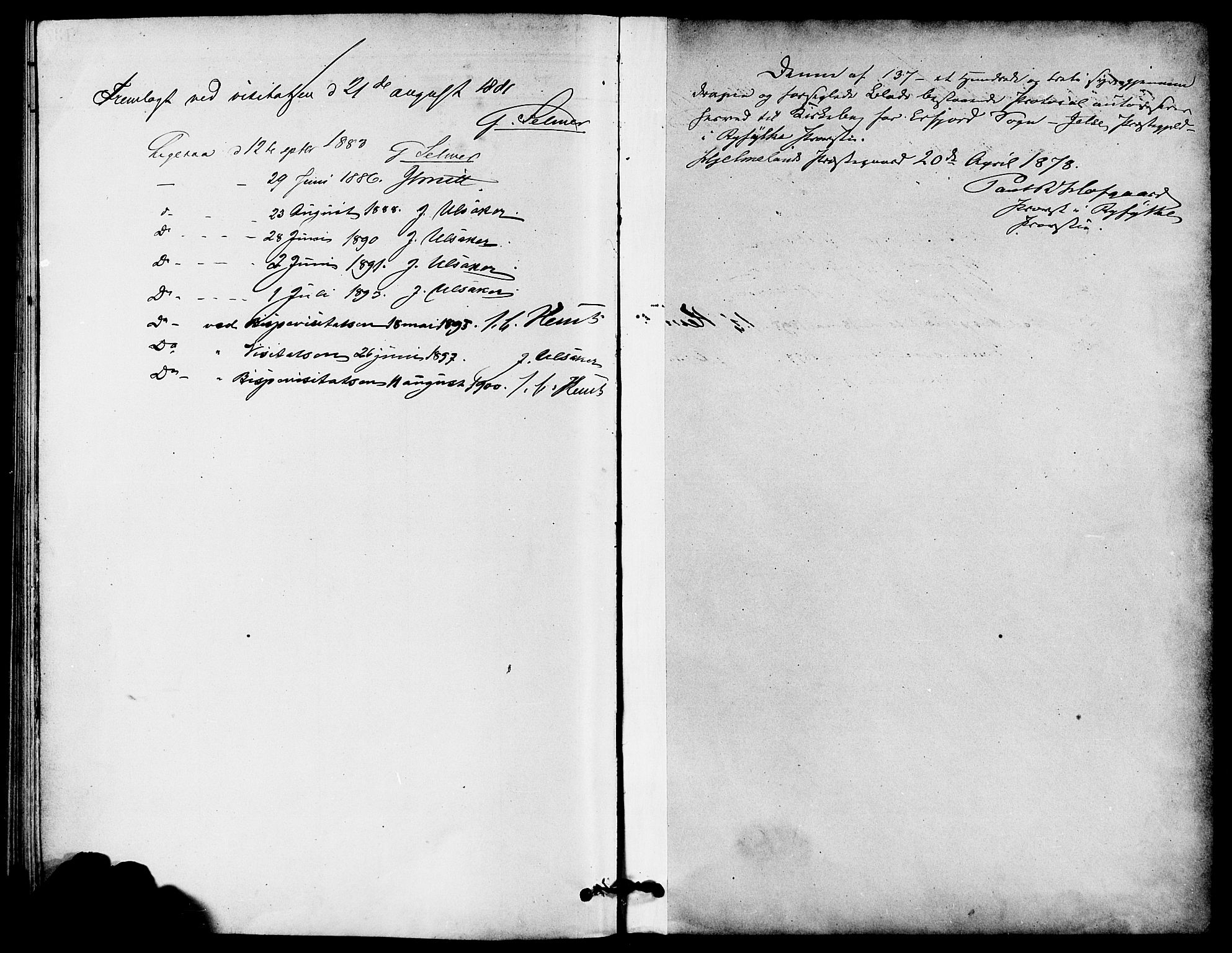 Jelsa sokneprestkontor, SAST/A-101842/01/IV: Parish register (official) no. A 9, 1878-1898