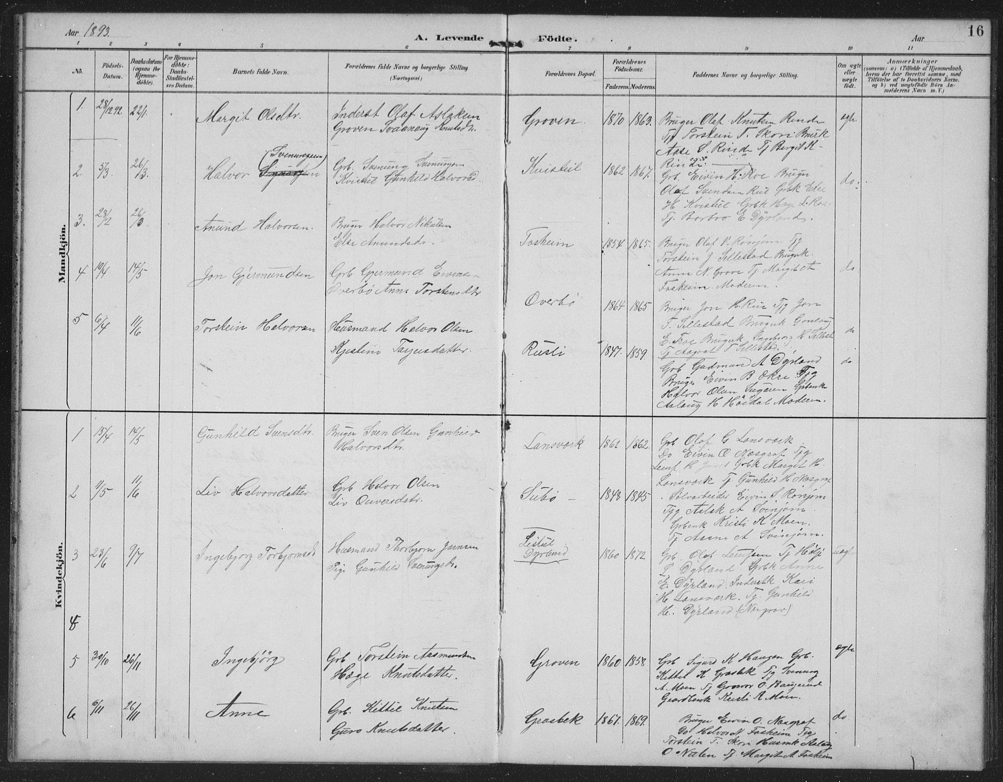 Seljord kirkebøker, AV/SAKO-A-20/G/Gc/L0003: Parish register (copy) no. III 3, 1887-1926, p. 16