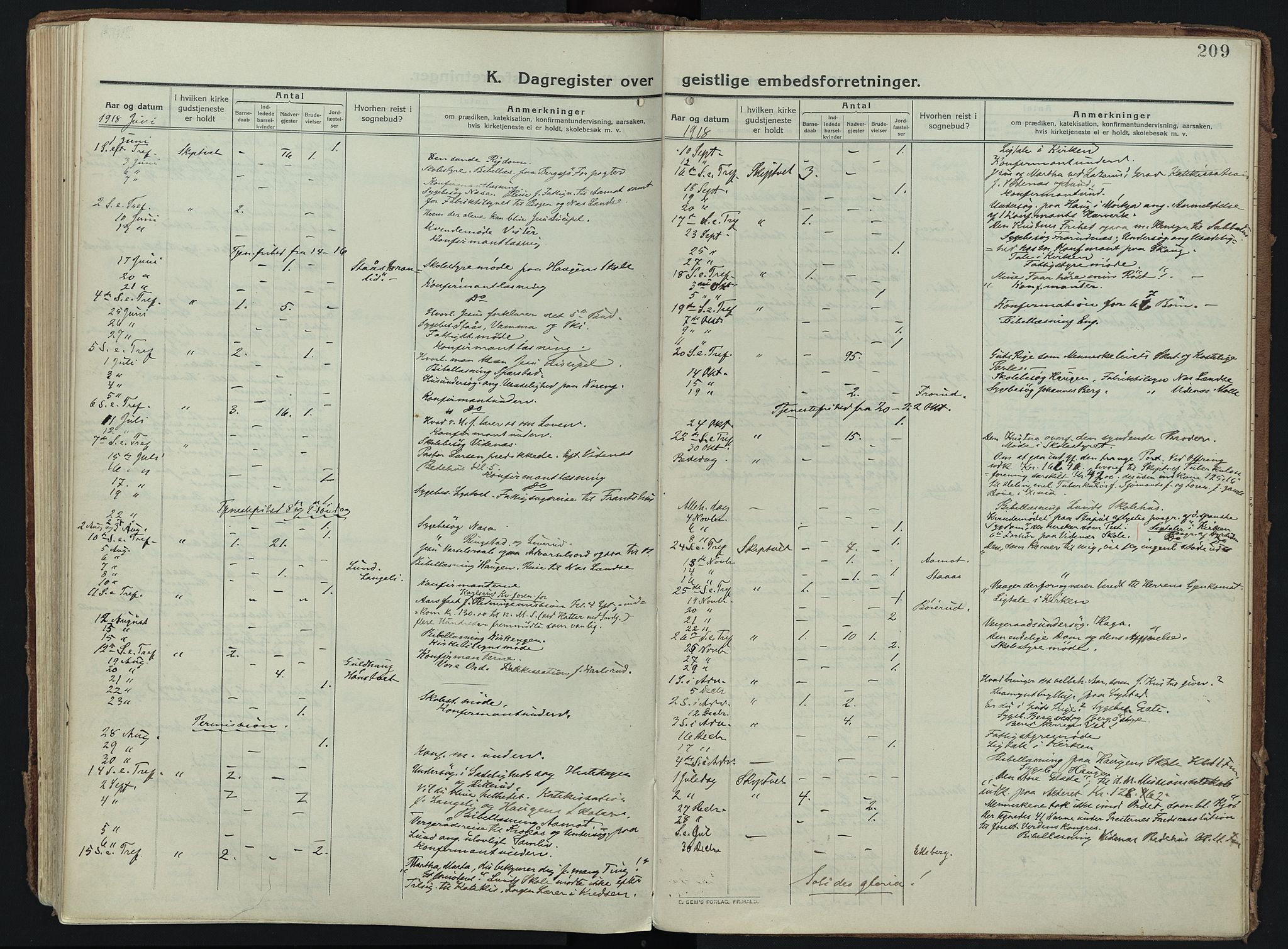Skiptvet prestekontor Kirkebøker, SAO/A-20009/F/Fa/L0012: Parish register (official) no. 12, 1913-1924, p. 209