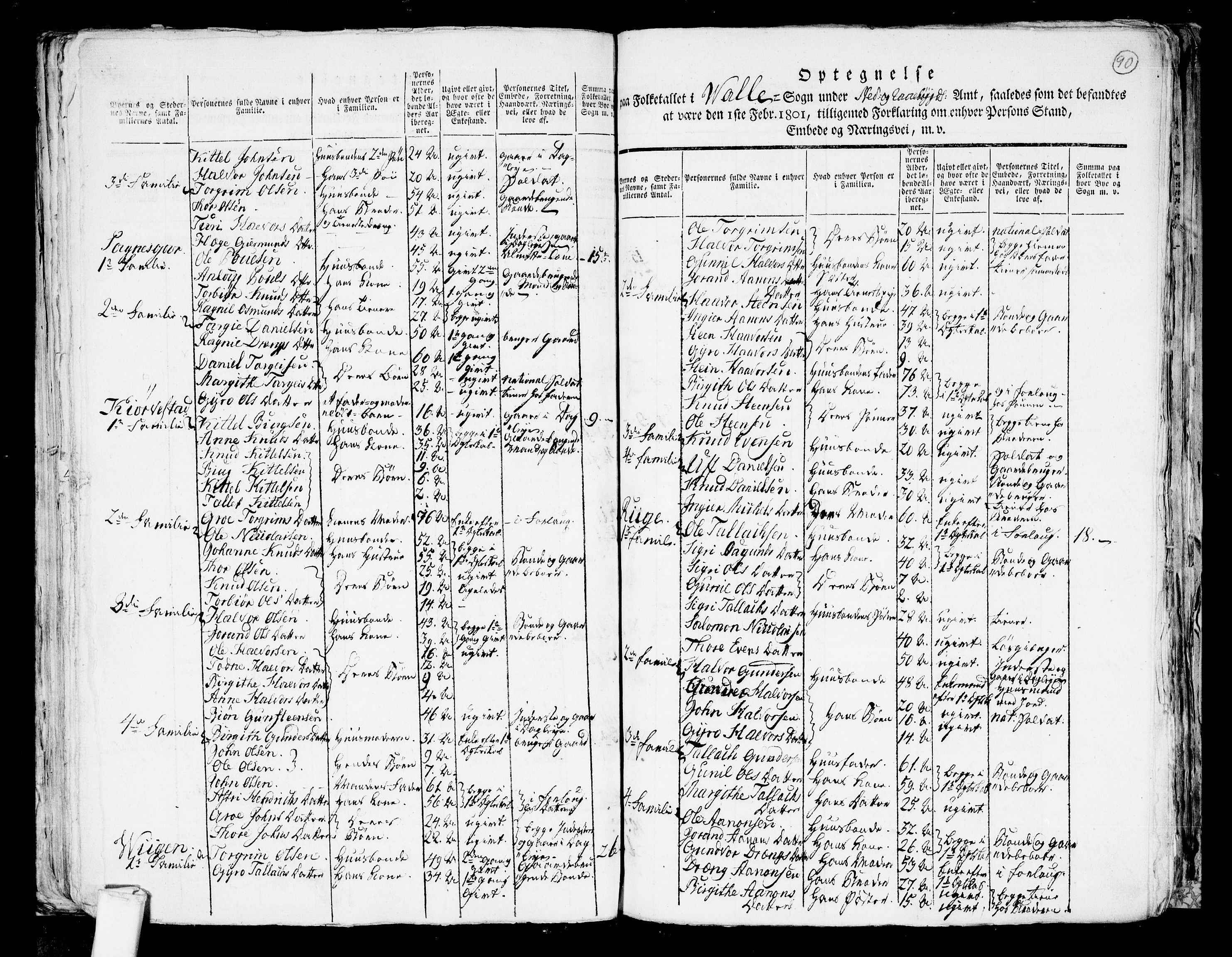 RA, 1801 census for 0940P Valle, 1801, p. 89b-90a