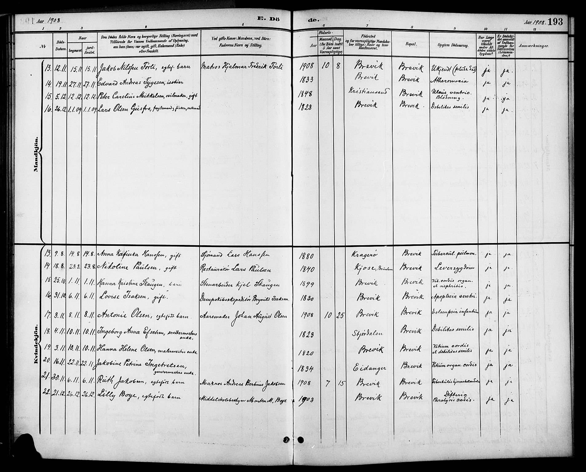 Brevik kirkebøker, AV/SAKO-A-255/G/Ga/L0005: Parish register (copy) no. 5, 1901-1924, p. 193