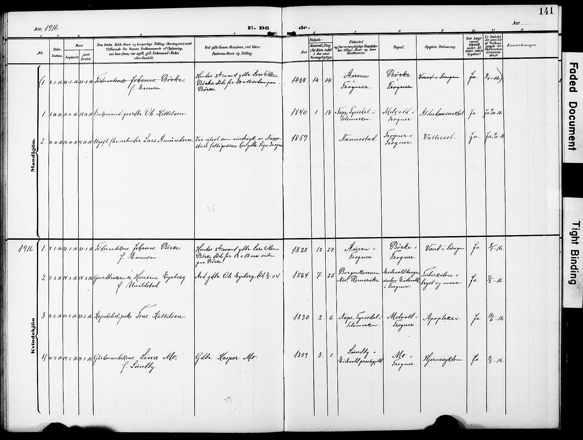 Sørum prestekontor Kirkebøker, AV/SAO-A-10303/G/Gb/L0001: Parish register (copy) no. II 1, 1907-1929, p. 141