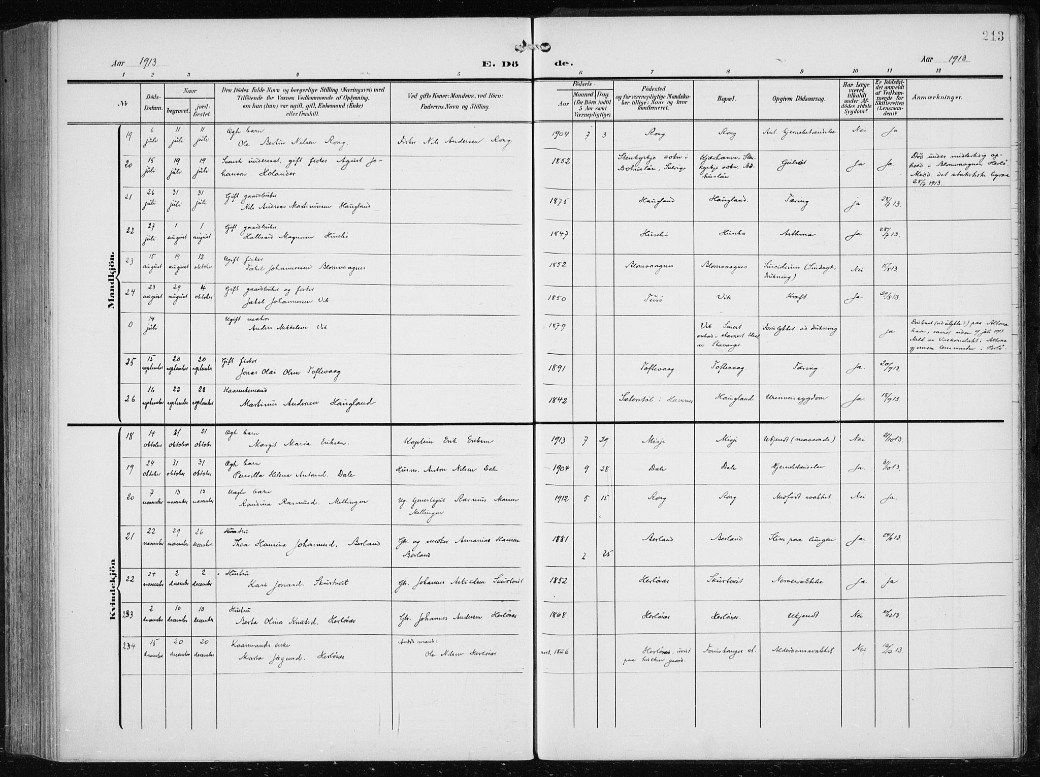 Herdla Sokneprestembete, AV/SAB-A-75701/H/Haa: Parish register (official) no. A 5, 1905-1918, p. 213