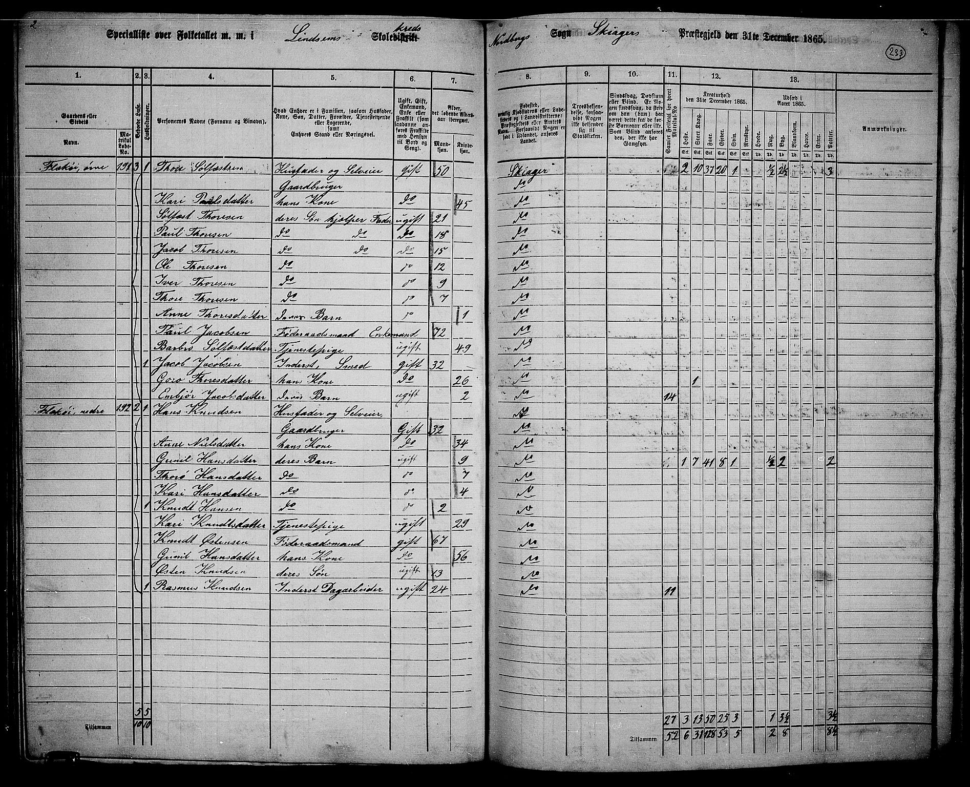 RA, 1865 census for Skjåk, 1865, p. 80