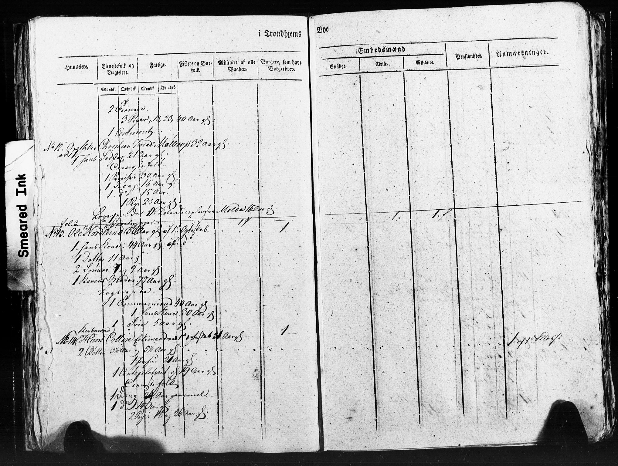 SAT, Census 1815 for Trondheim (transcript), 1815, p. 249