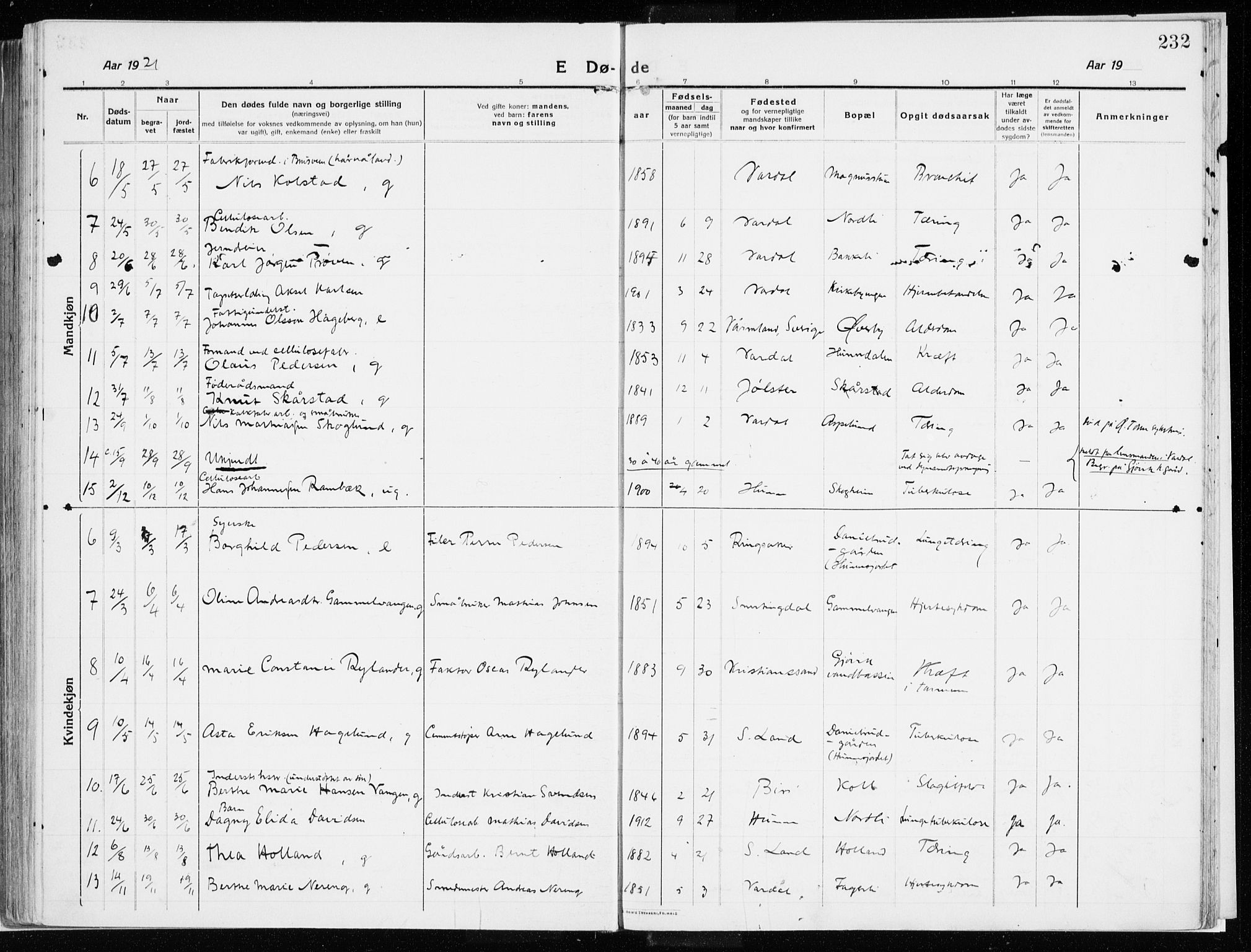 Vardal prestekontor, SAH/PREST-100/H/Ha/Haa/L0017: Parish register (official) no. 17, 1915-1929, p. 232