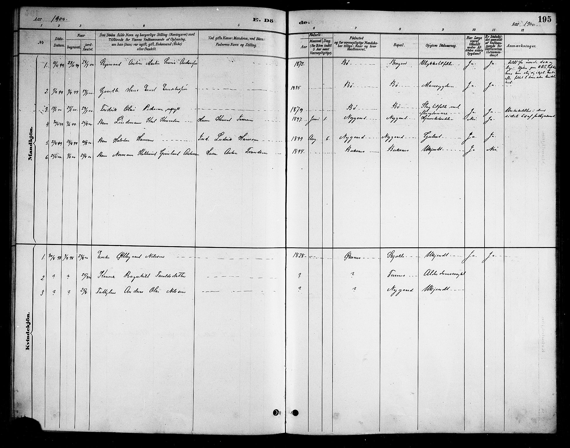 Ministerialprotokoller, klokkerbøker og fødselsregistre - Nordland, AV/SAT-A-1459/898/L1427: Parish register (copy) no. 898C02, 1887-1917, p. 195