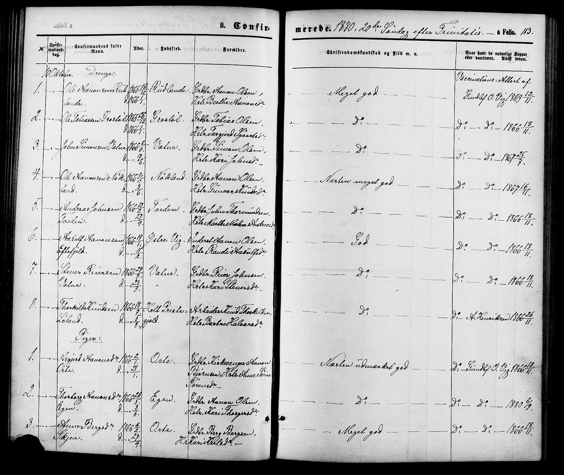 Hægebostad sokneprestkontor, SAK/1111-0024/F/Fa/Fab/L0003: Parish register (official) no. A 3, 1872-1886, p. 113