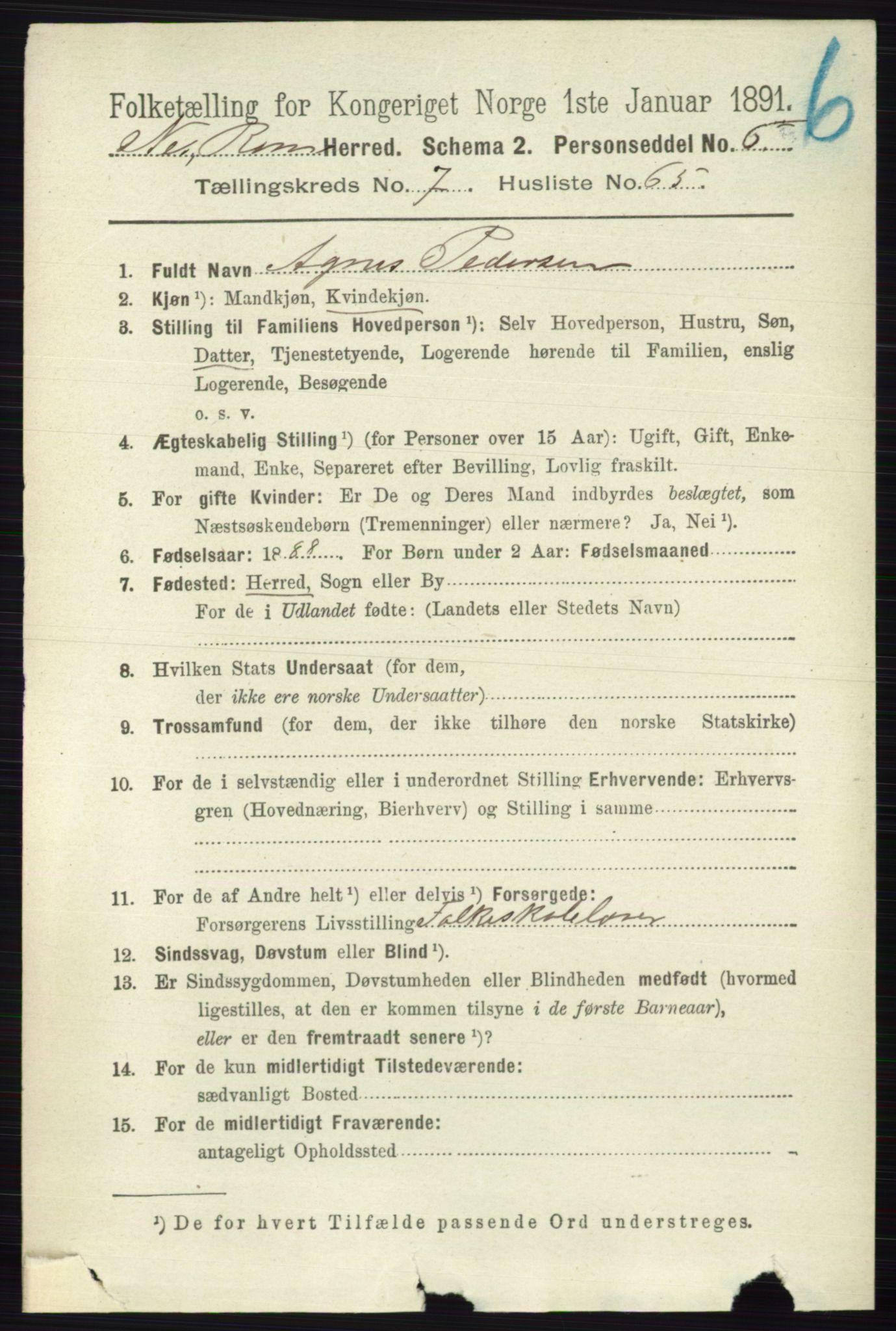 RA, 1891 census for 0236 Nes, 1891, p. 4478