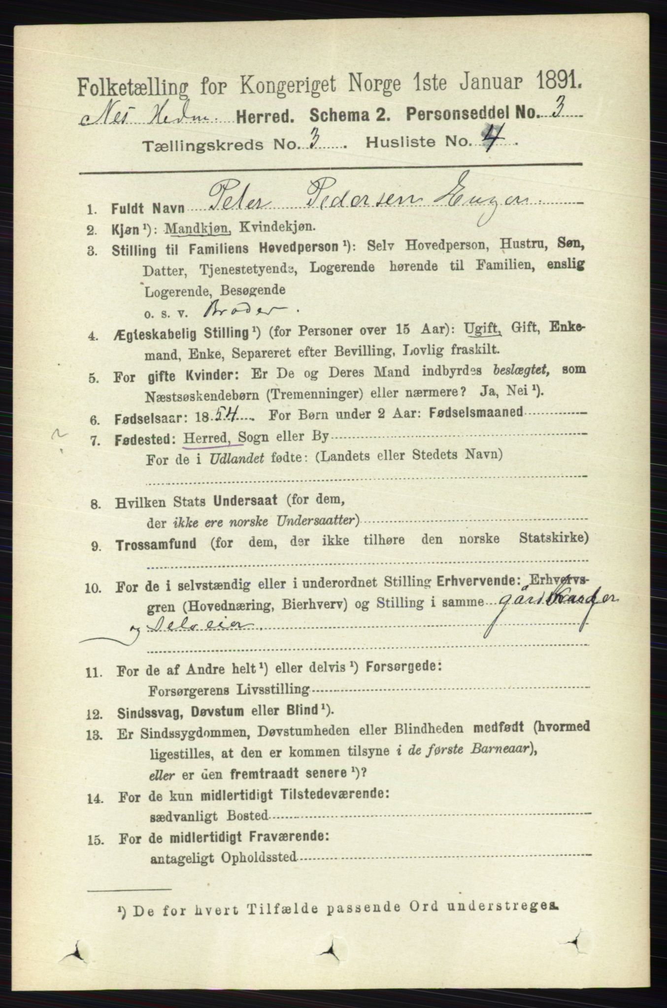 RA, 1891 census for 0411 Nes, 1891, p. 1614
