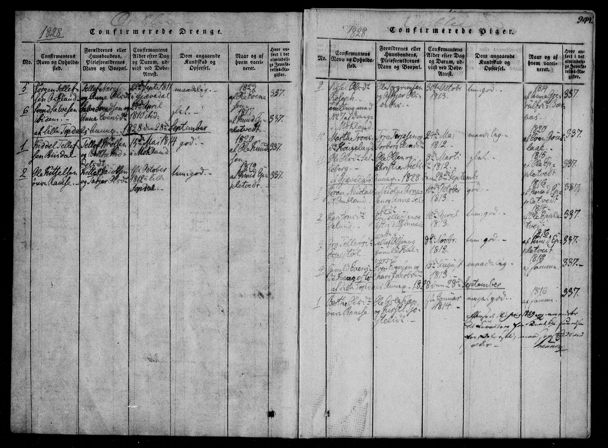 Åmli sokneprestkontor, AV/SAK-1111-0050/F/Fa/Fac/L0006: Parish register (official) no. A 6, 1816-1829, p. 244