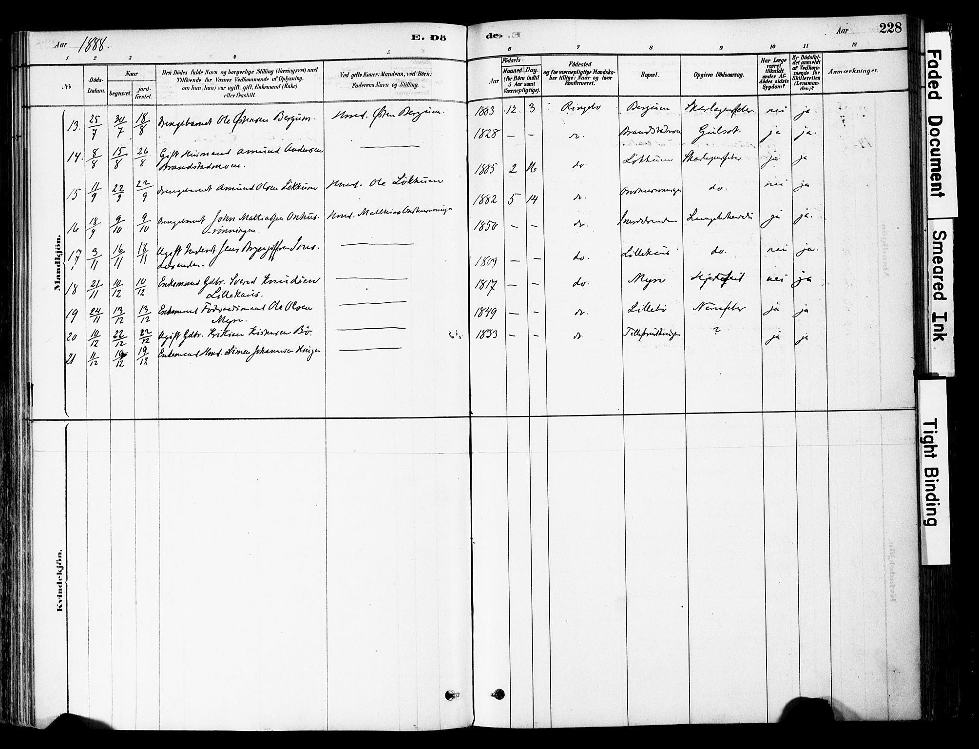 Ringebu prestekontor, AV/SAH-PREST-082/H/Ha/Haa/L0008: Parish register (official) no. 8, 1878-1898, p. 228