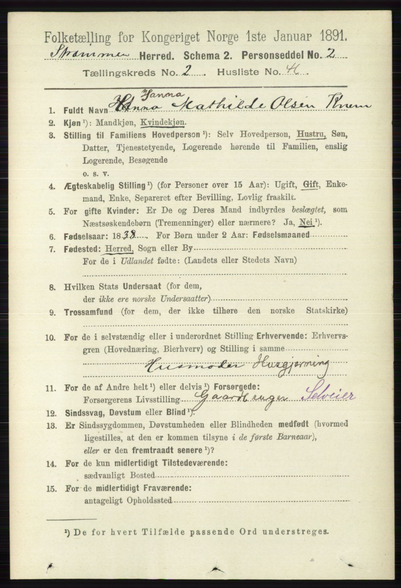 RA, 1891 census for 0711 Strømm, 1891, p. 966