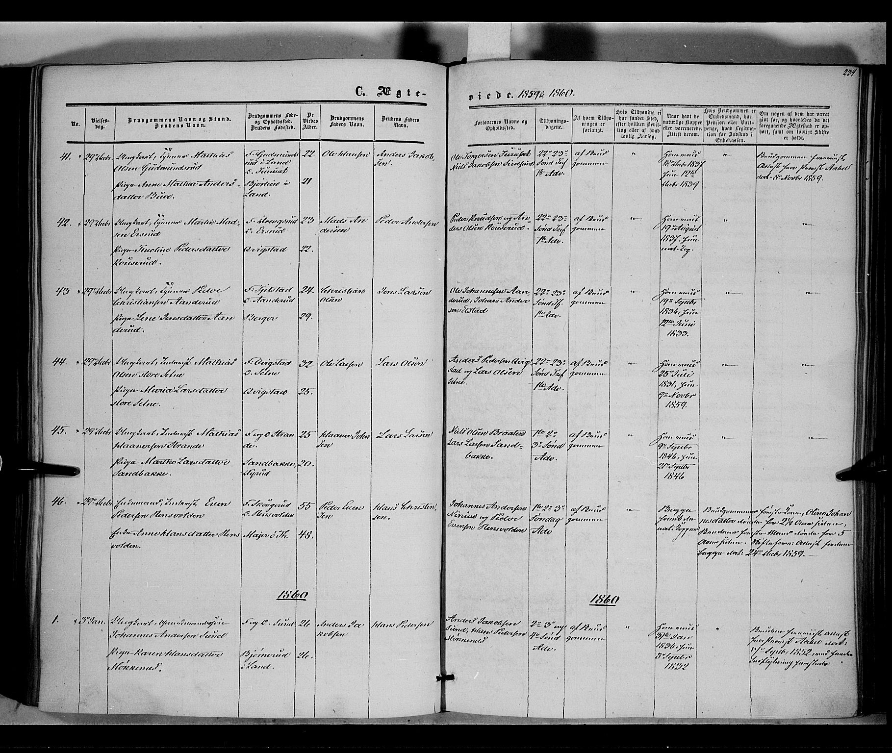 Vestre Toten prestekontor, AV/SAH-PREST-108/H/Ha/Haa/L0006: Parish register (official) no. 6, 1856-1861, p. 234