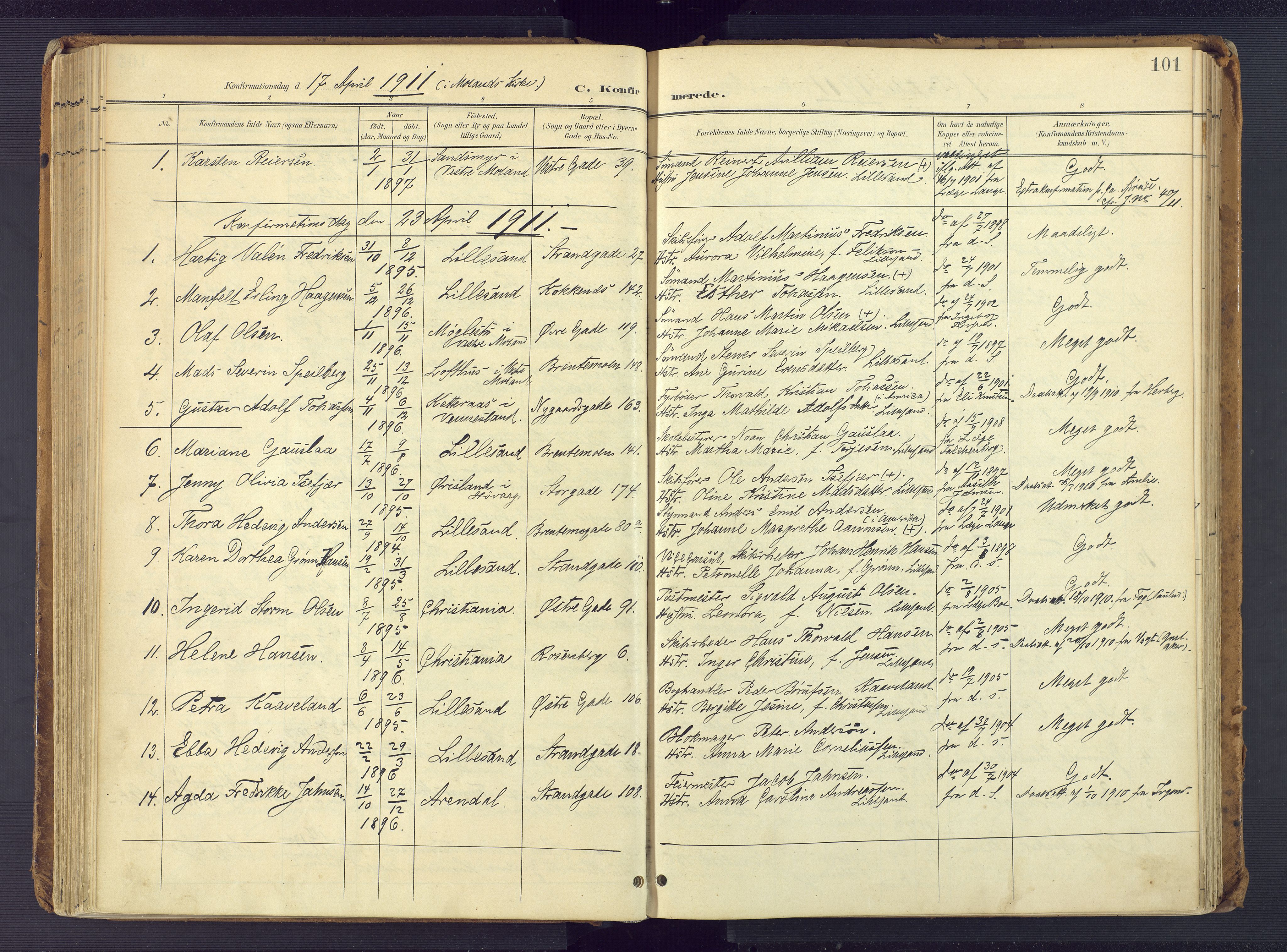Vestre Moland sokneprestkontor, AV/SAK-1111-0046/F/Fa/Faa/L0002: Parish register (official) no. A 2, 1900-1926, p. 101