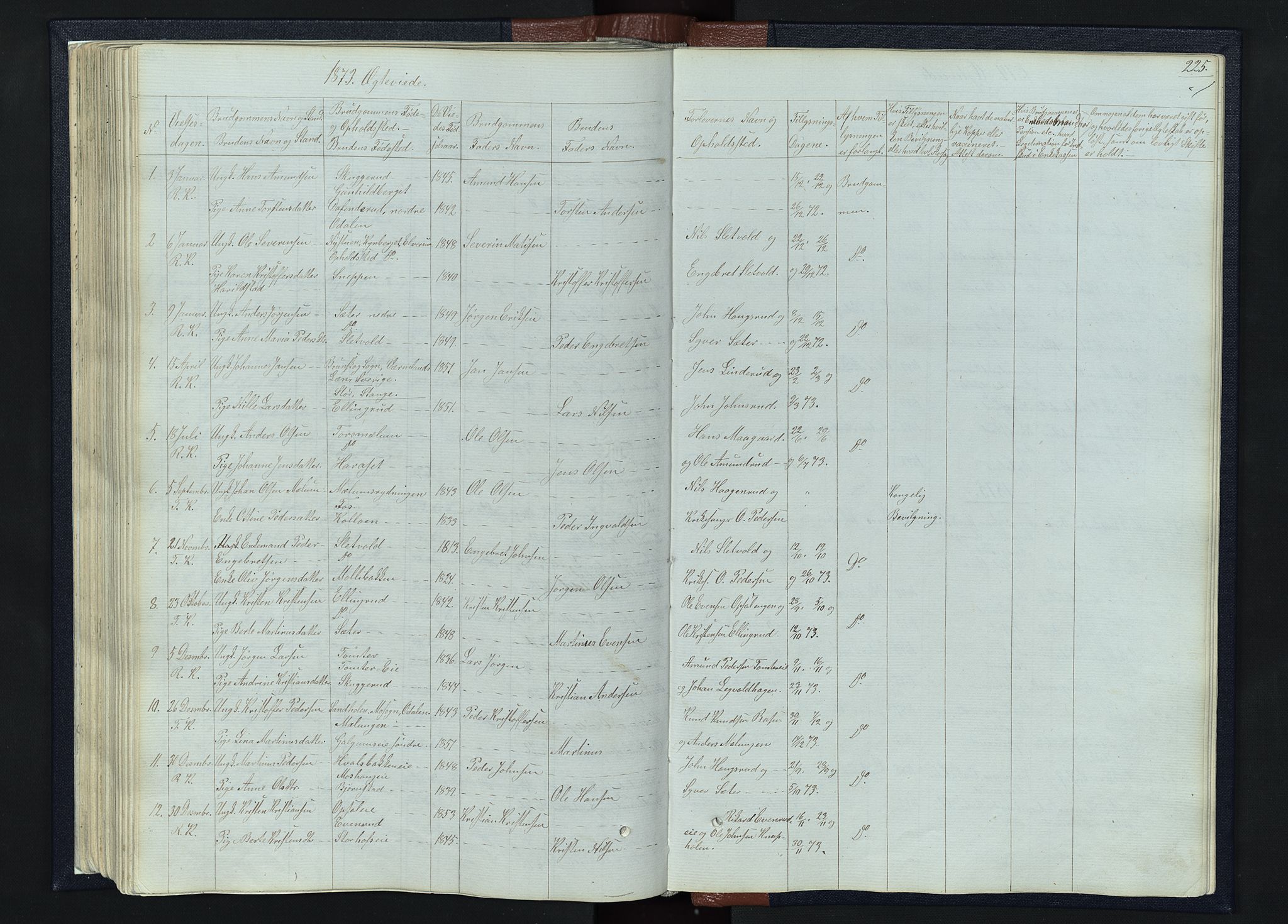 Romedal prestekontor, SAH/PREST-004/L/L0010: Parish register (copy) no. 10, 1860-1895, p. 225