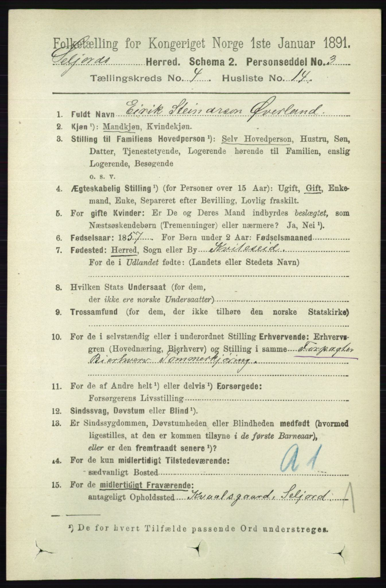 RA, 1891 census for 0828 Seljord, 1891, p. 1361