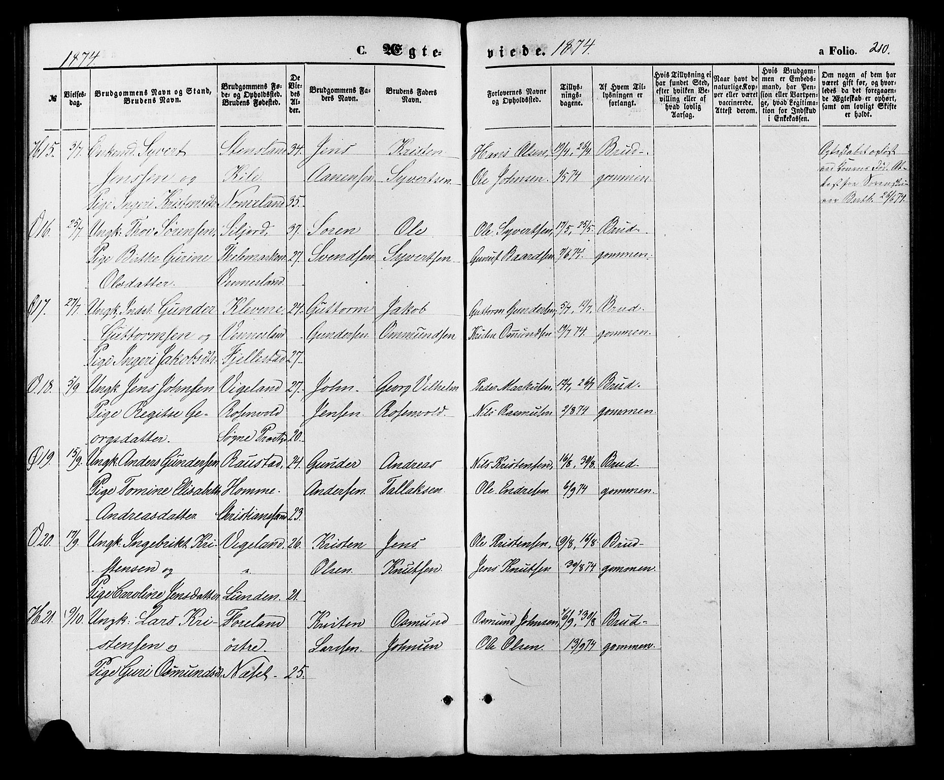 Vennesla sokneprestkontor, AV/SAK-1111-0045/Fa/Fac/L0008: Parish register (official) no. A 8, 1874-1883, p. 210