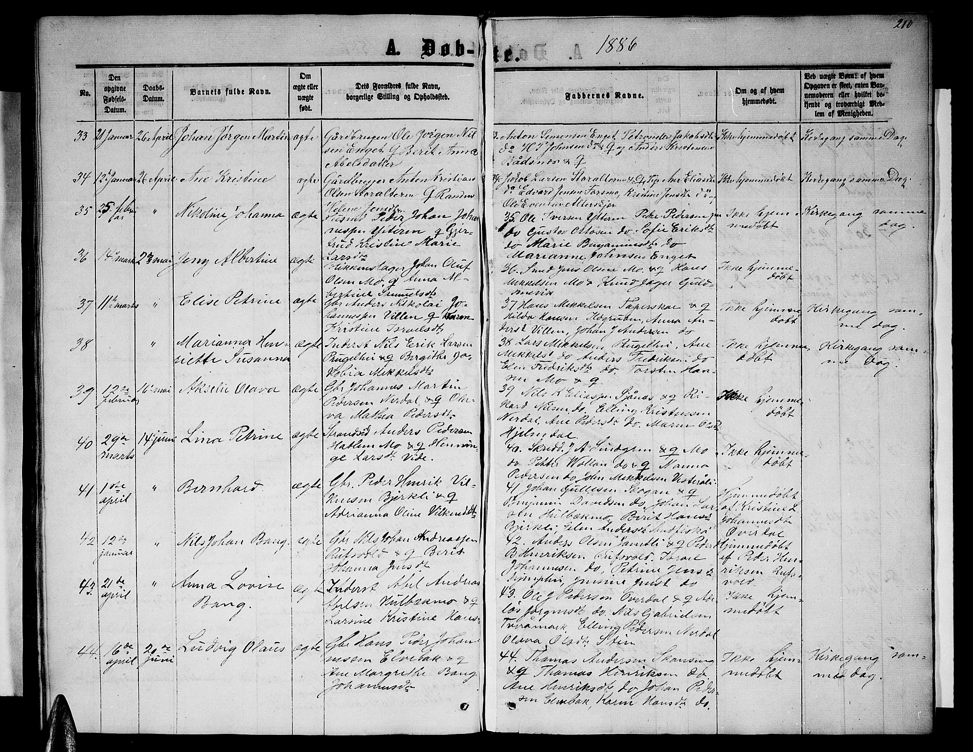 Ministerialprotokoller, klokkerbøker og fødselsregistre - Nordland, AV/SAT-A-1459/827/L0415: Parish register (copy) no. 827C04, 1864-1886, p. 210