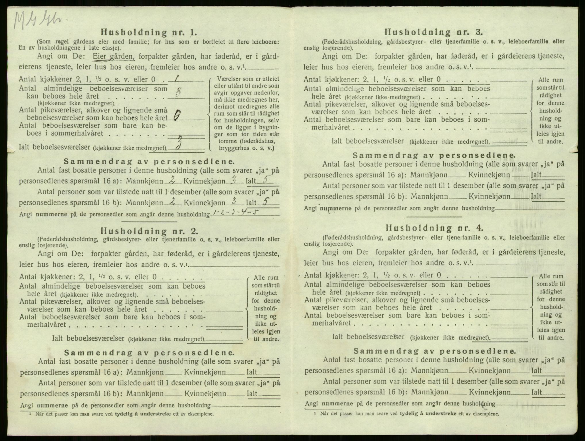 SAKO, 1920 census for Våle, 1920, p. 1077