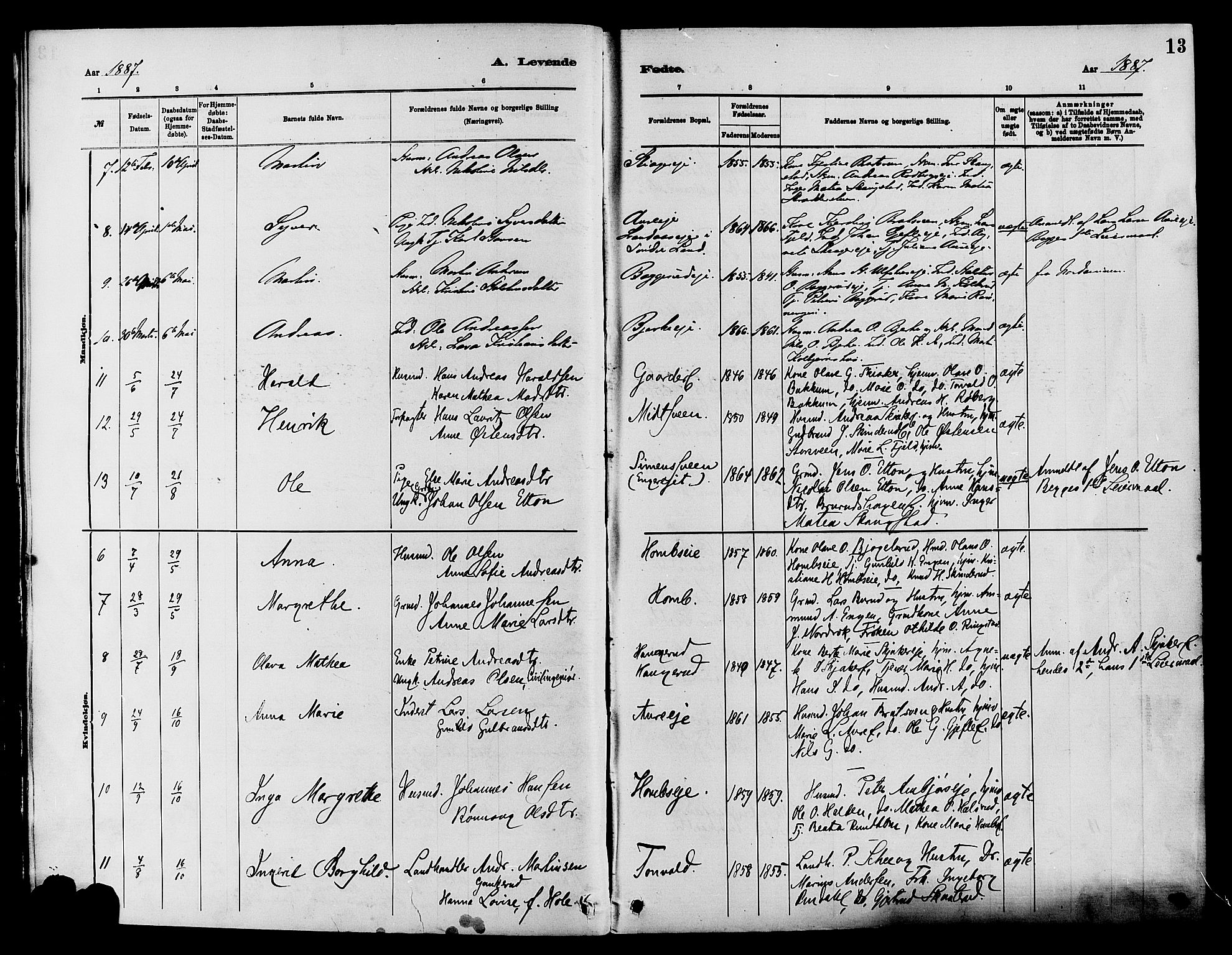 Nordre Land prestekontor, SAH/PREST-124/H/Ha/Haa/L0003: Parish register (official) no. 3, 1882-1896, p. 13