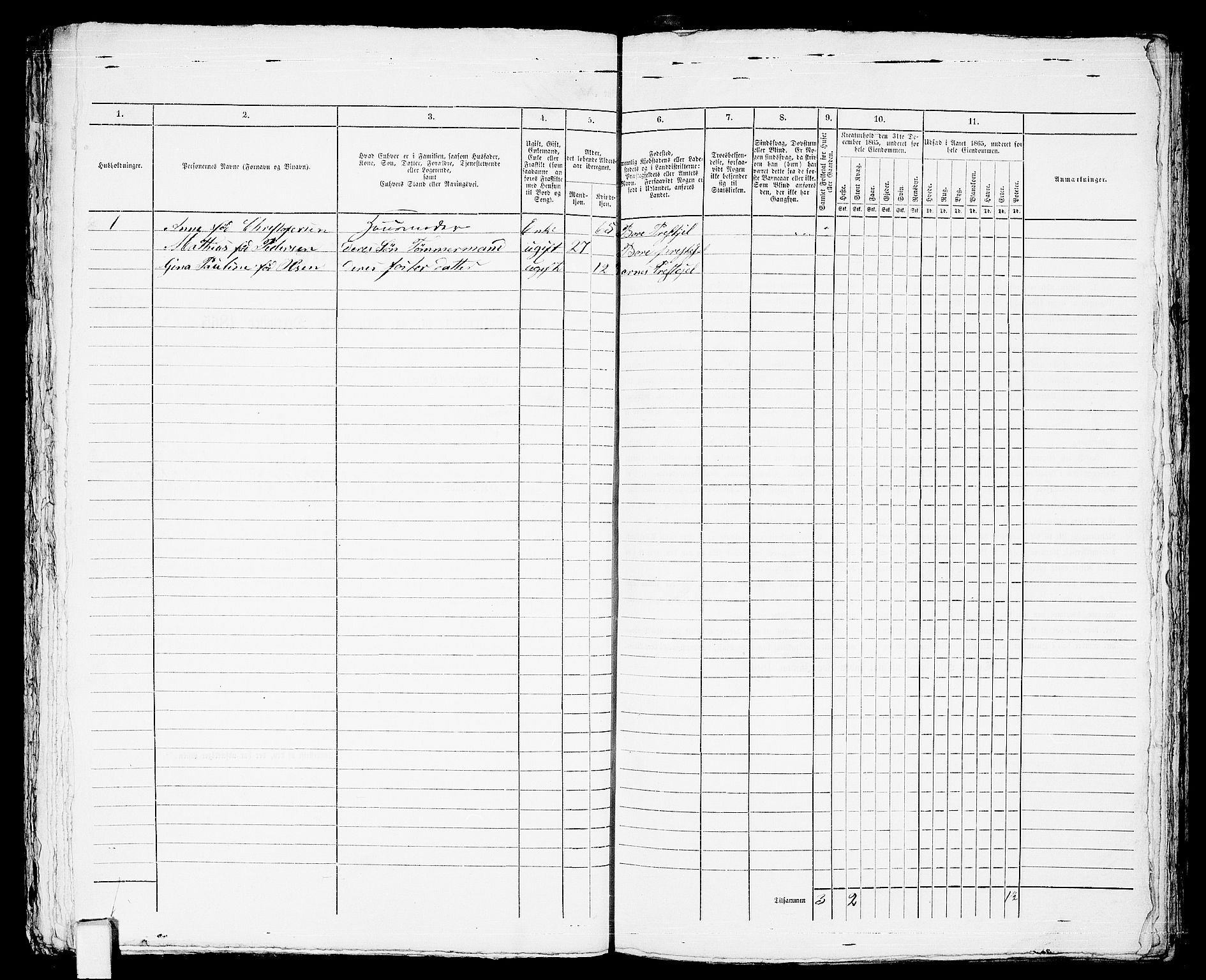 RA, 1865 census for Horten, 1865, p. 635