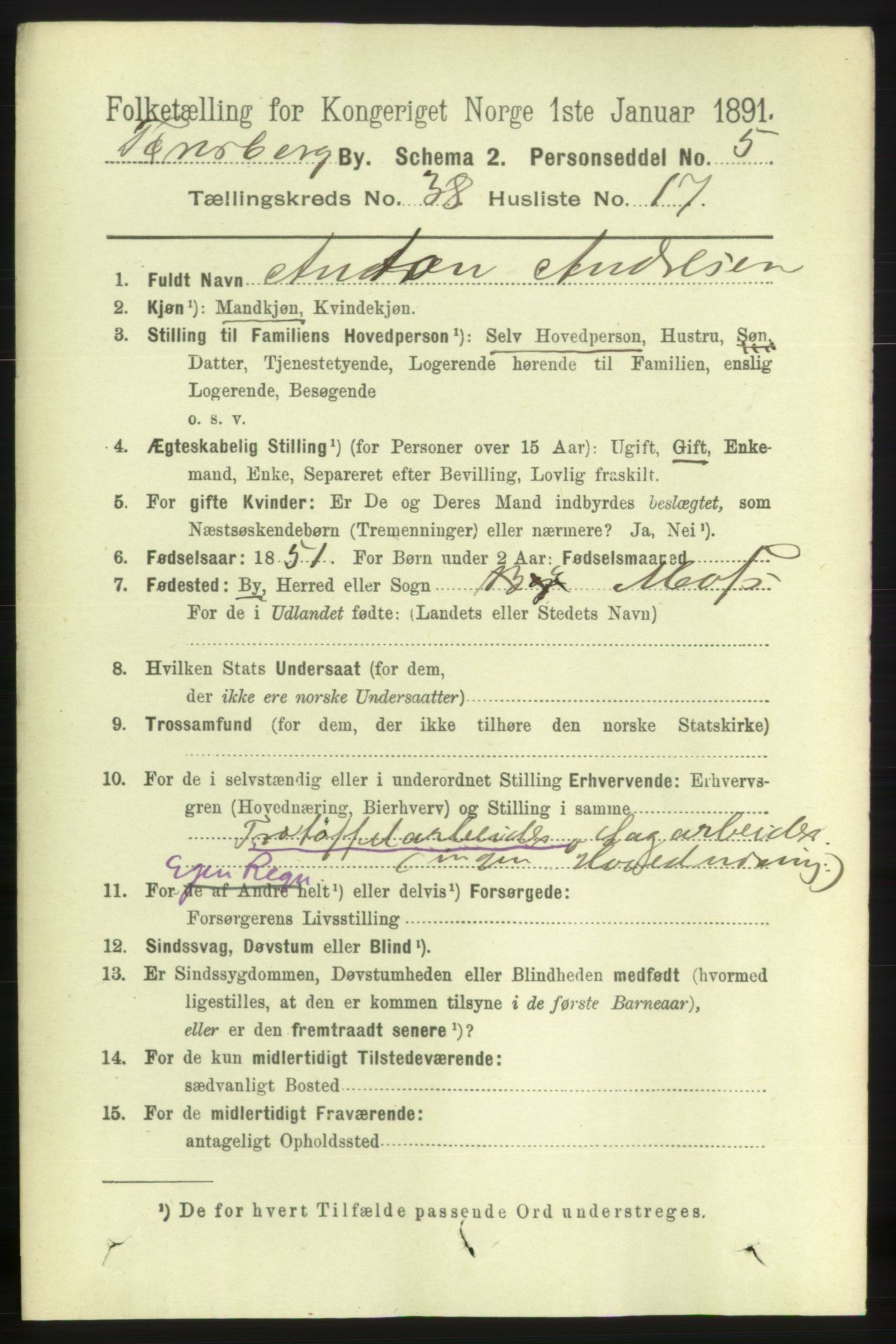 RA, 1891 census for 0705 Tønsberg, 1891, p. 8262