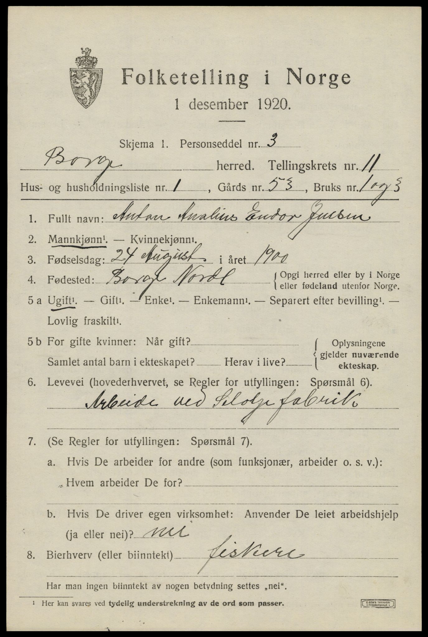 SAT, 1920 census for Borge, 1920, p. 9423