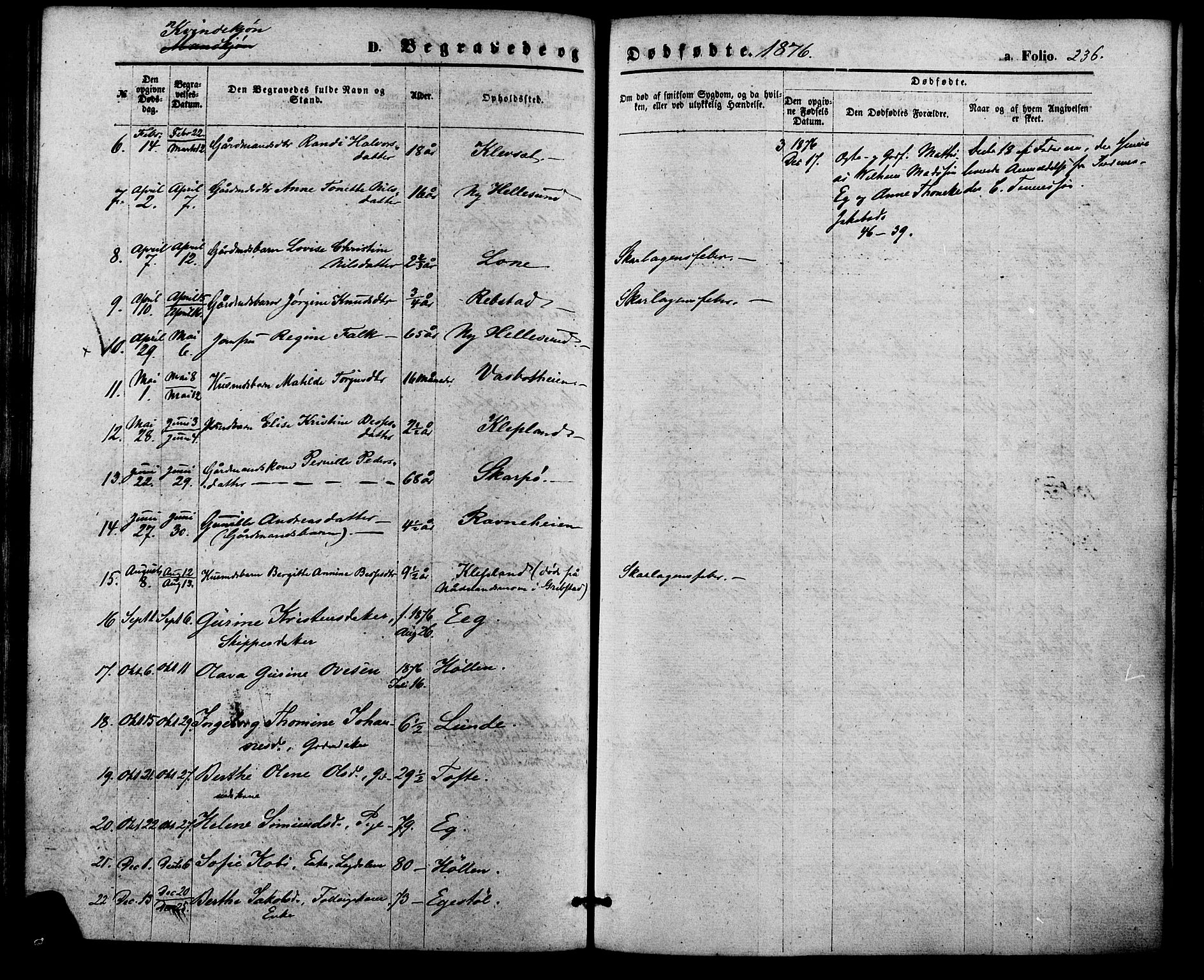 Søgne sokneprestkontor, AV/SAK-1111-0037/F/Fa/Fab/L0011: Parish register (official) no. A 11, 1869-1879, p. 236