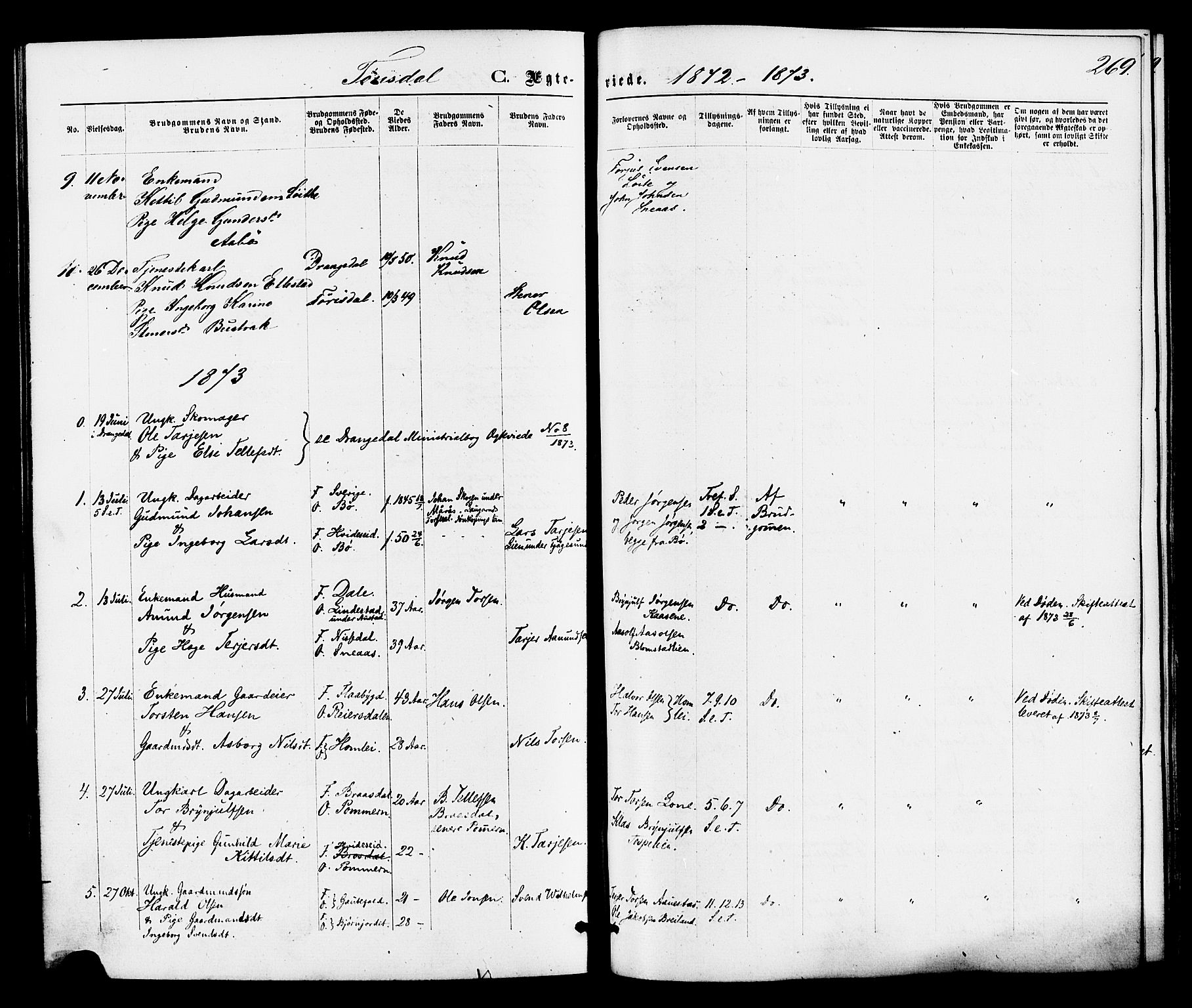 Drangedal kirkebøker, SAKO/A-258/F/Fa/L0009: Parish register (official) no. 9 /2, 1872-1884, p. 269