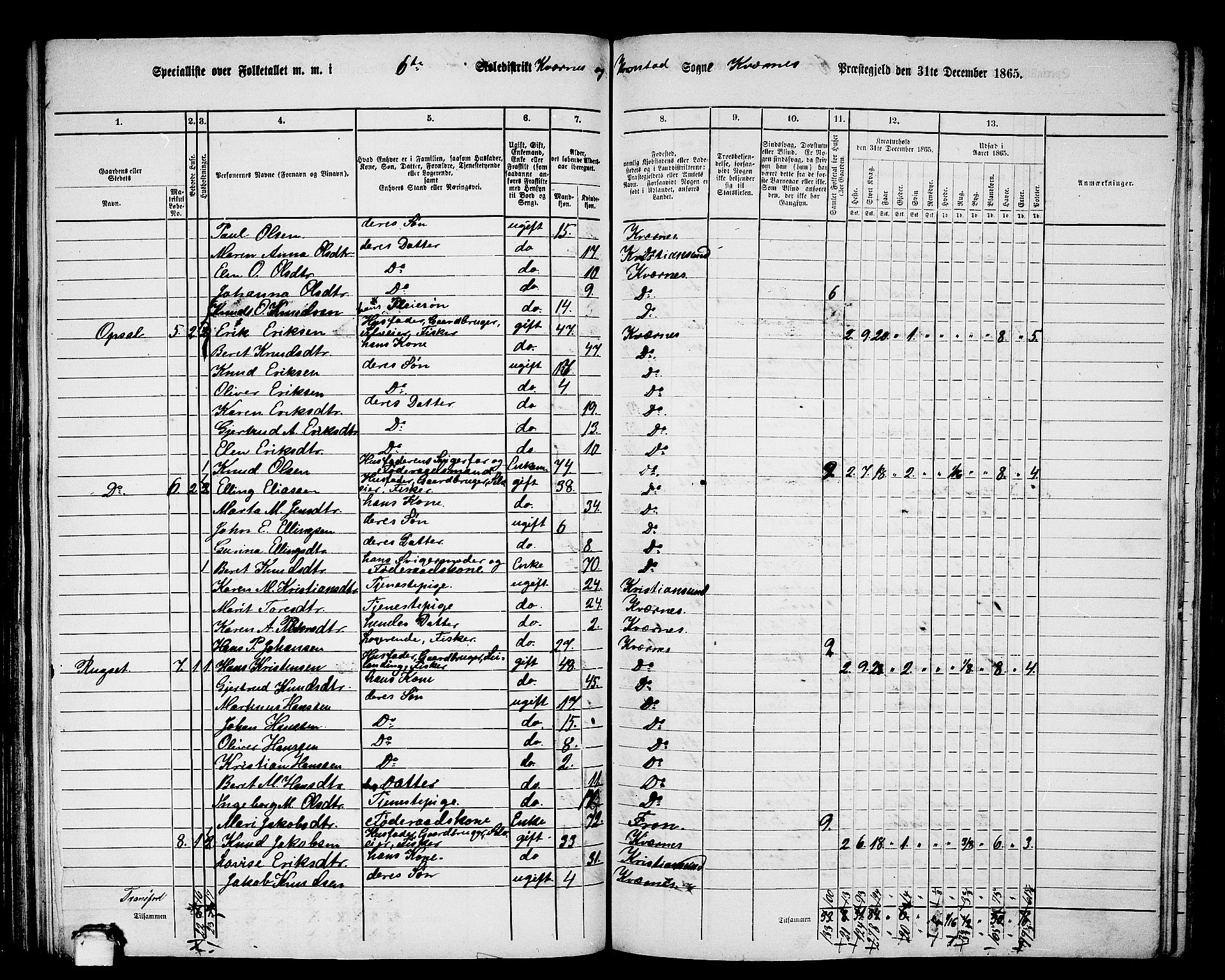 RA, 1865 census for Kvernes, 1865, p. 110