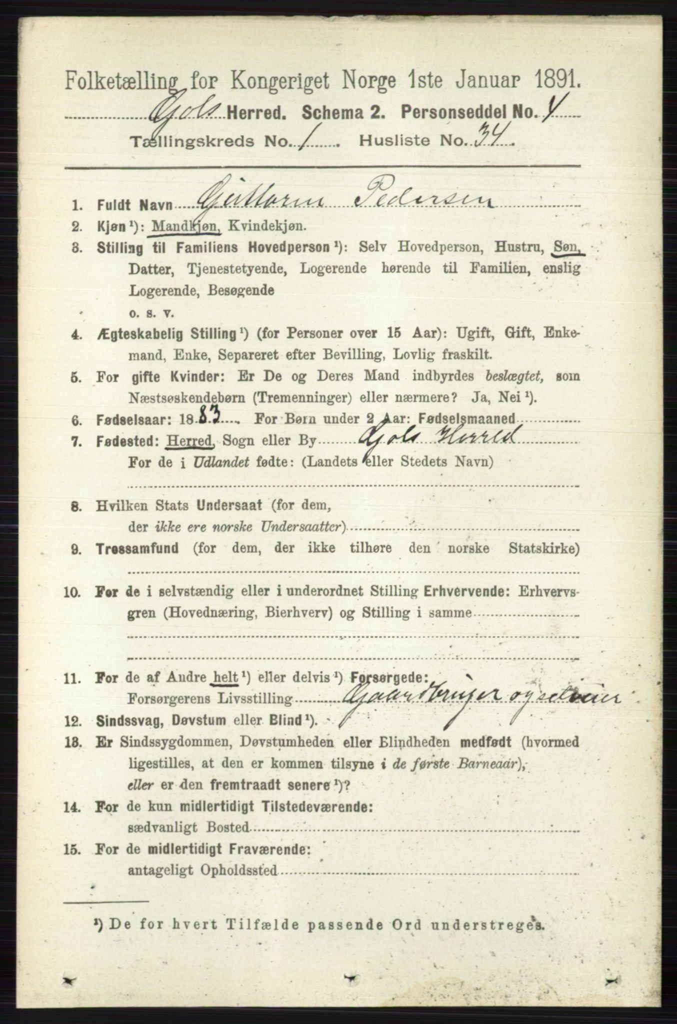 RA, 1891 census for 0617 Gol og Hemsedal, 1891, p. 288