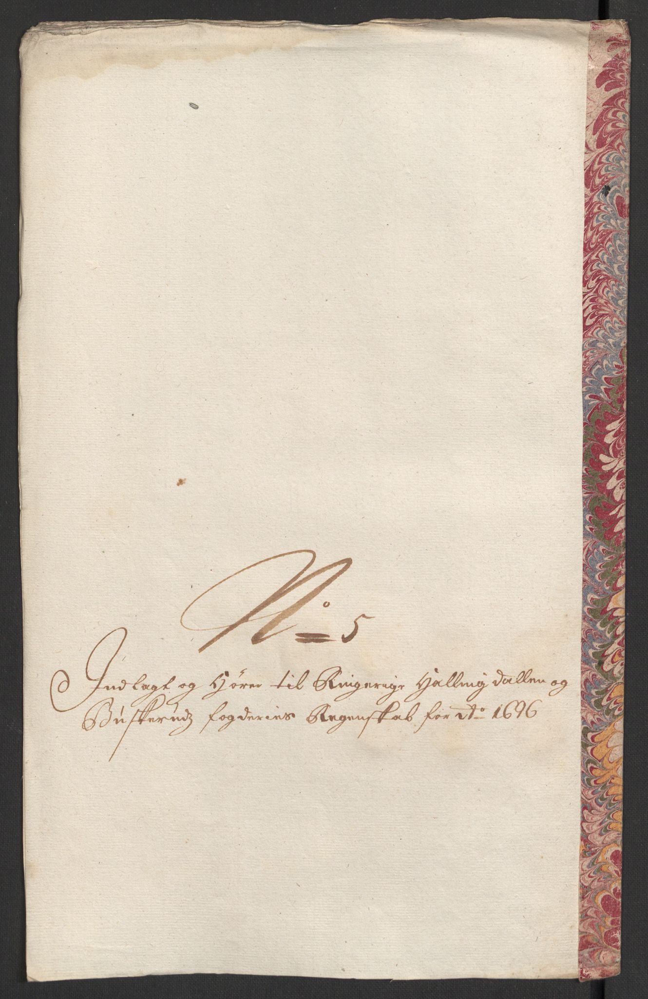 Rentekammeret inntil 1814, Reviderte regnskaper, Fogderegnskap, RA/EA-4092/R22/L1453: Fogderegnskap Ringerike, Hallingdal og Buskerud, 1696, p. 248