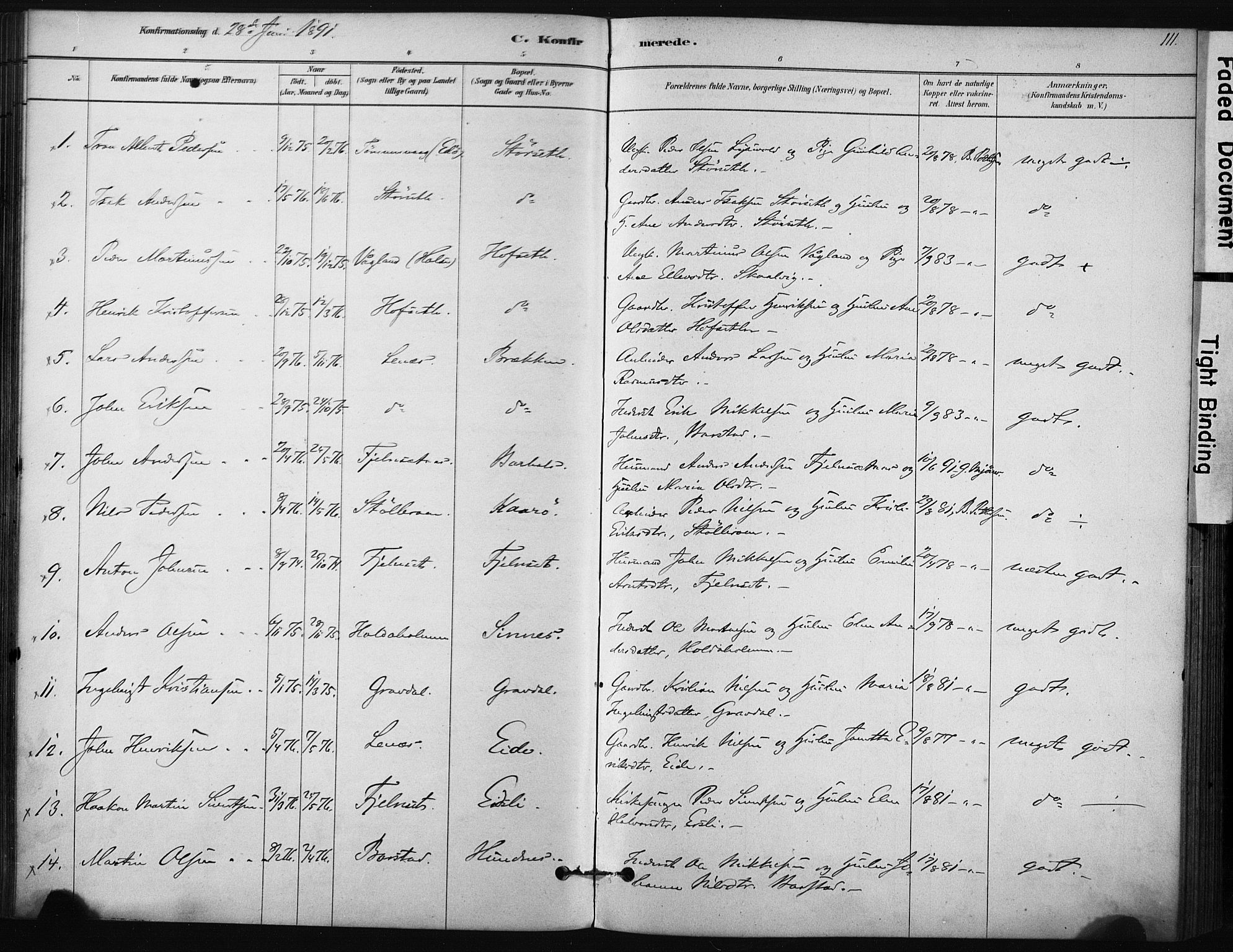 Ministerialprotokoller, klokkerbøker og fødselsregistre - Sør-Trøndelag, SAT/A-1456/631/L0512: Parish register (official) no. 631A01, 1879-1912, p. 111