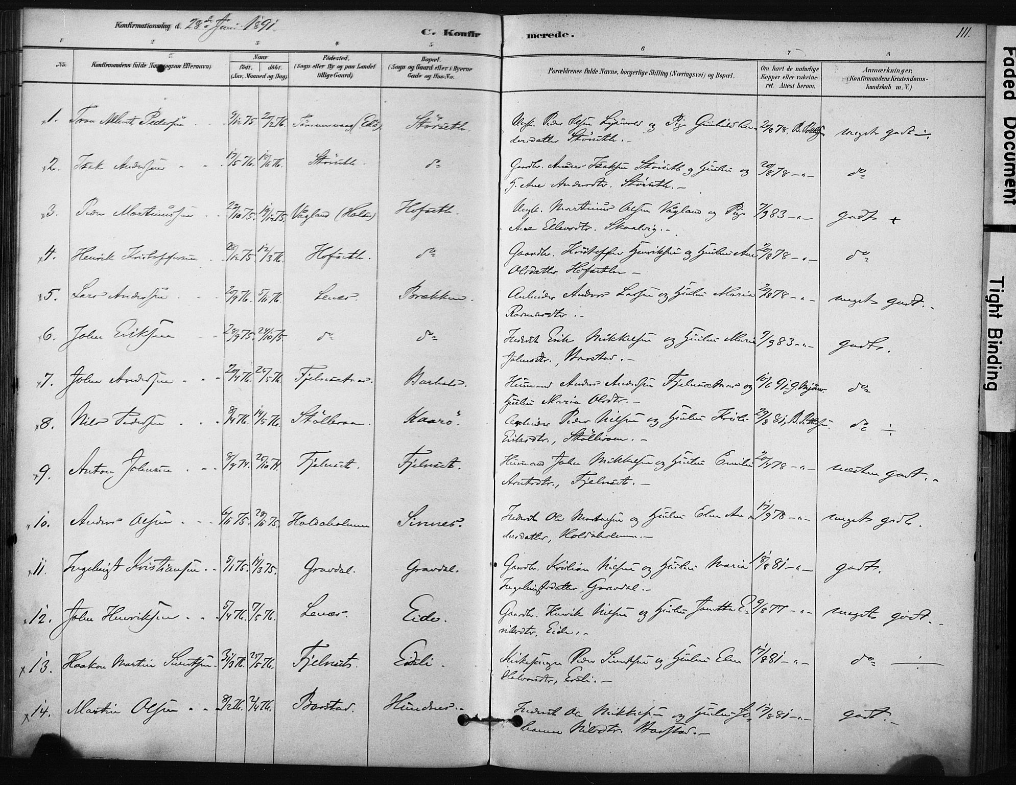 Ministerialprotokoller, klokkerbøker og fødselsregistre - Sør-Trøndelag, AV/SAT-A-1456/631/L0512: Parish register (official) no. 631A01, 1879-1912, p. 111