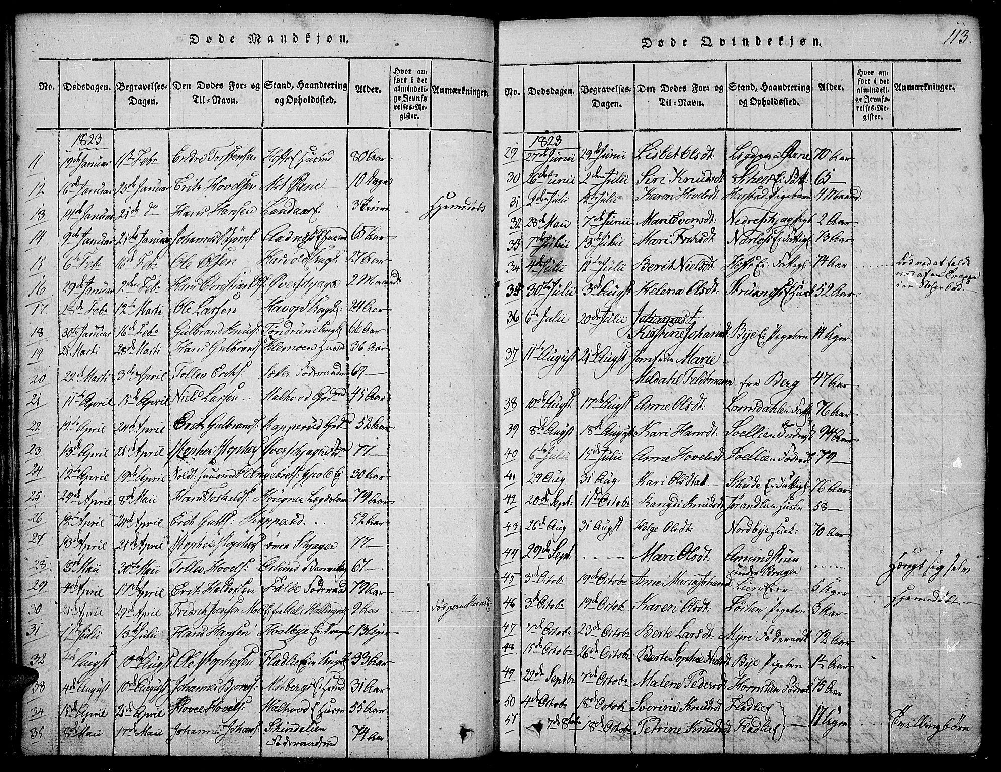 Land prestekontor, SAH/PREST-120/H/Ha/Hab/L0001: Parish register (copy) no. 1, 1814-1833, p. 113
