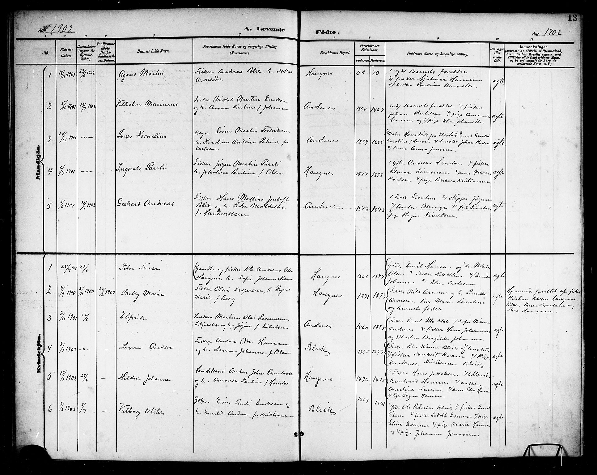 Ministerialprotokoller, klokkerbøker og fødselsregistre - Nordland, SAT/A-1459/899/L1449: Parish register (copy) no. 899C04, 1900-1918, p. 13
