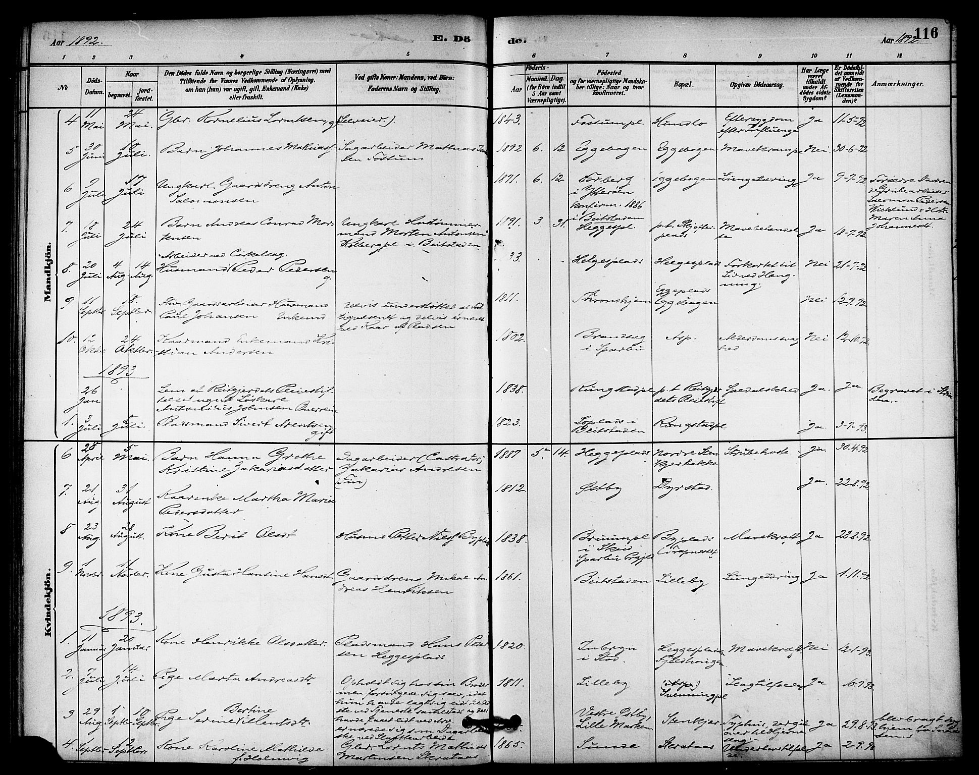 Ministerialprotokoller, klokkerbøker og fødselsregistre - Nord-Trøndelag, SAT/A-1458/740/L0378: Parish register (official) no. 740A01, 1881-1895, p. 116