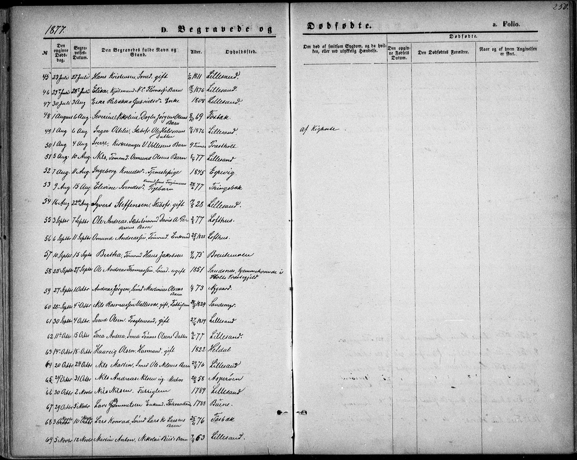 Vestre Moland sokneprestkontor, AV/SAK-1111-0046/F/Fb/Fbb/L0005: Parish register (copy) no. B 5, 1872-1883, p. 250