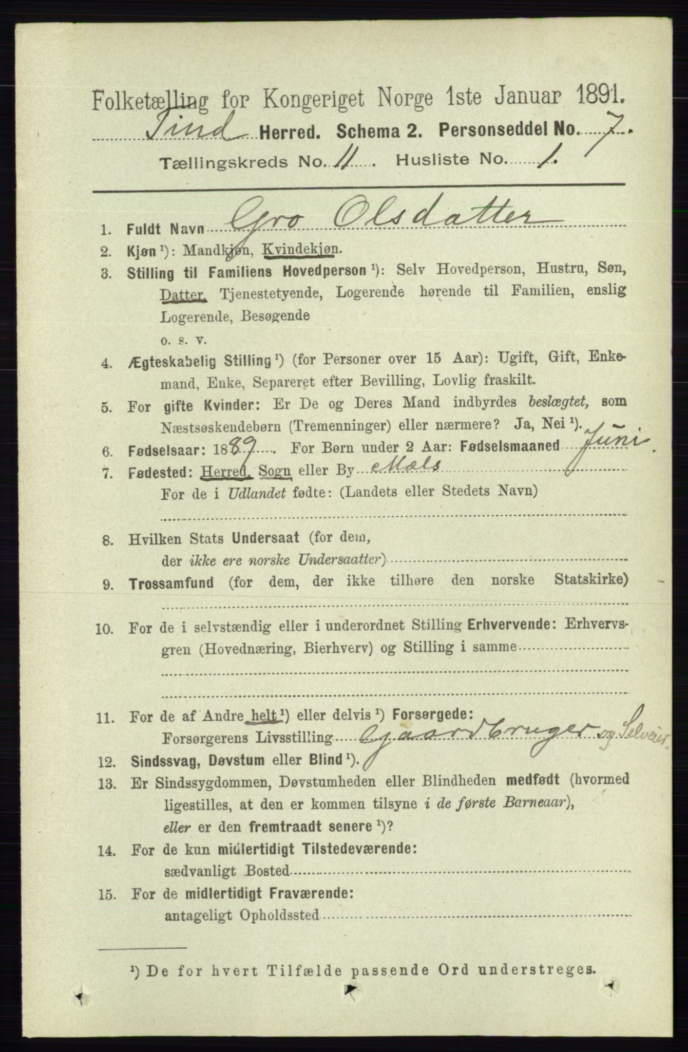 RA, 1891 census for 0826 Tinn, 1891, p. 2126