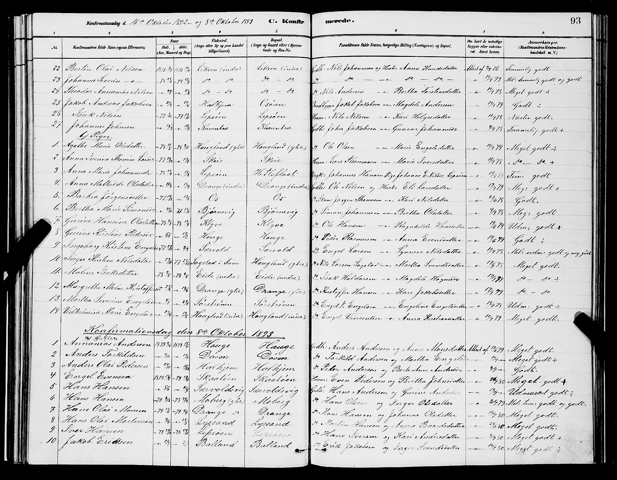 Os sokneprestembete, AV/SAB-A-99929: Parish register (copy) no. A 2, 1880-1896, p. 93