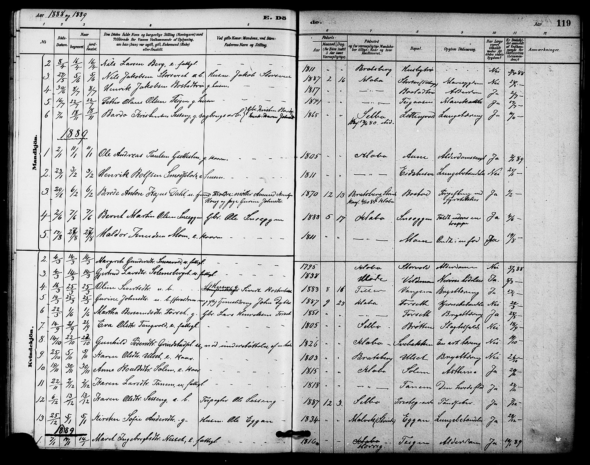Ministerialprotokoller, klokkerbøker og fødselsregistre - Sør-Trøndelag, SAT/A-1456/618/L0444: Parish register (official) no. 618A07, 1880-1898, p. 119