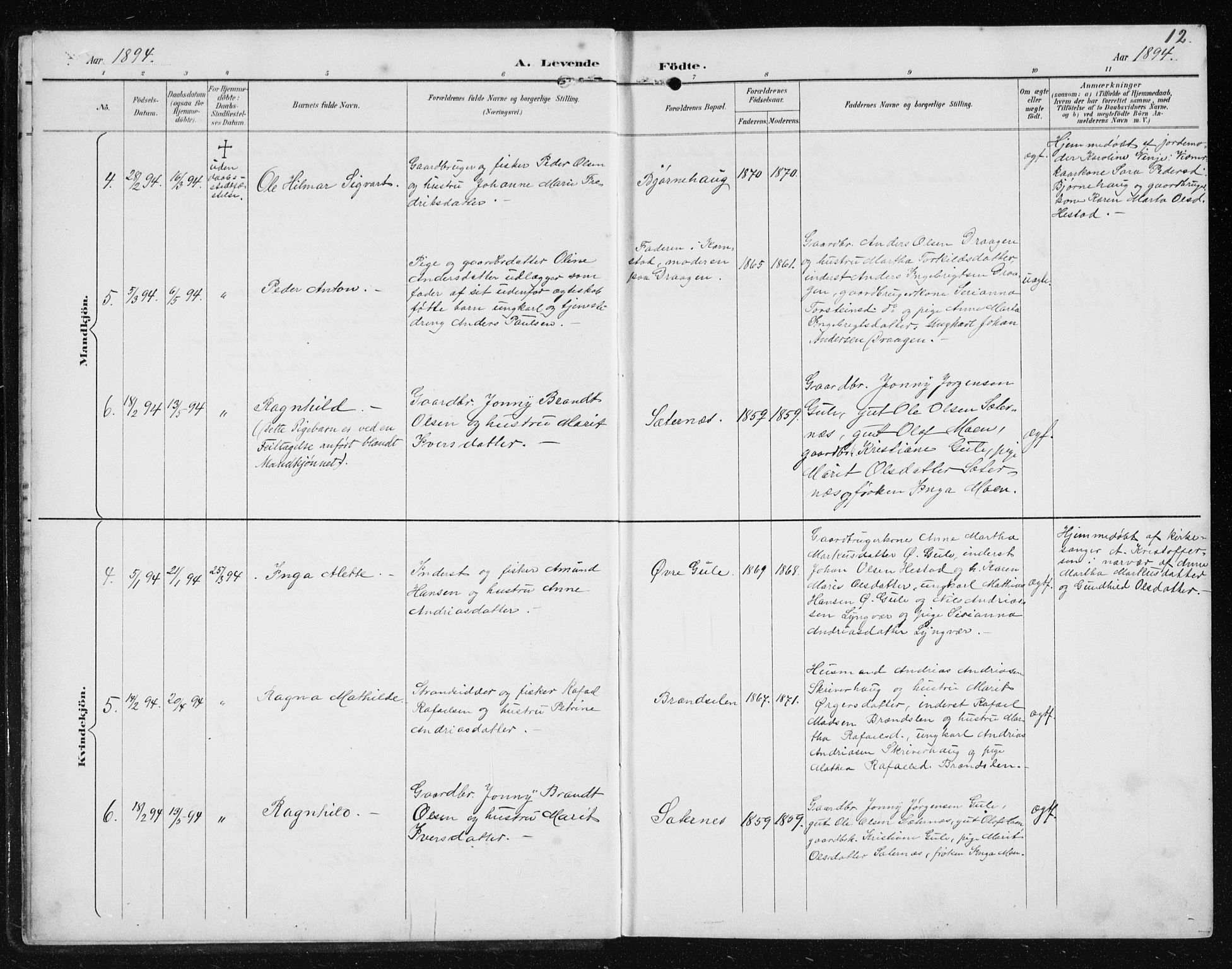 Ministerialprotokoller, klokkerbøker og fødselsregistre - Møre og Romsdal, AV/SAT-A-1454/566/L0773: Parish register (copy) no. 566C02, 1892-1909, p. 12