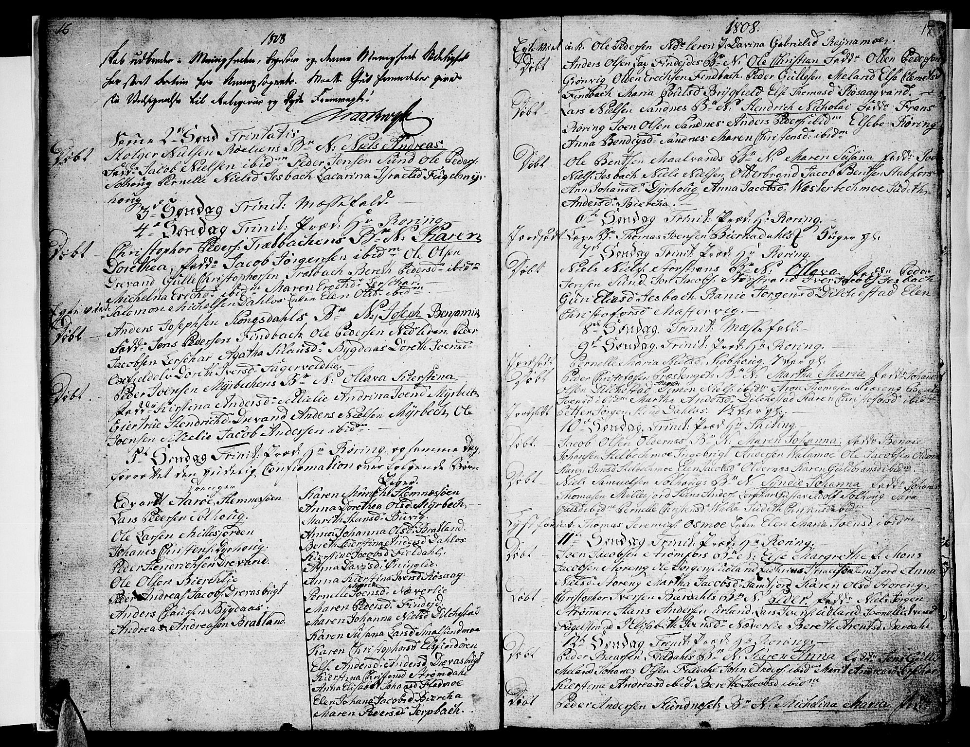 Ministerialprotokoller, klokkerbøker og fødselsregistre - Nordland, AV/SAT-A-1459/825/L0351: Parish register (official) no. 825A06 /1, 1807-1831, p. 16-17