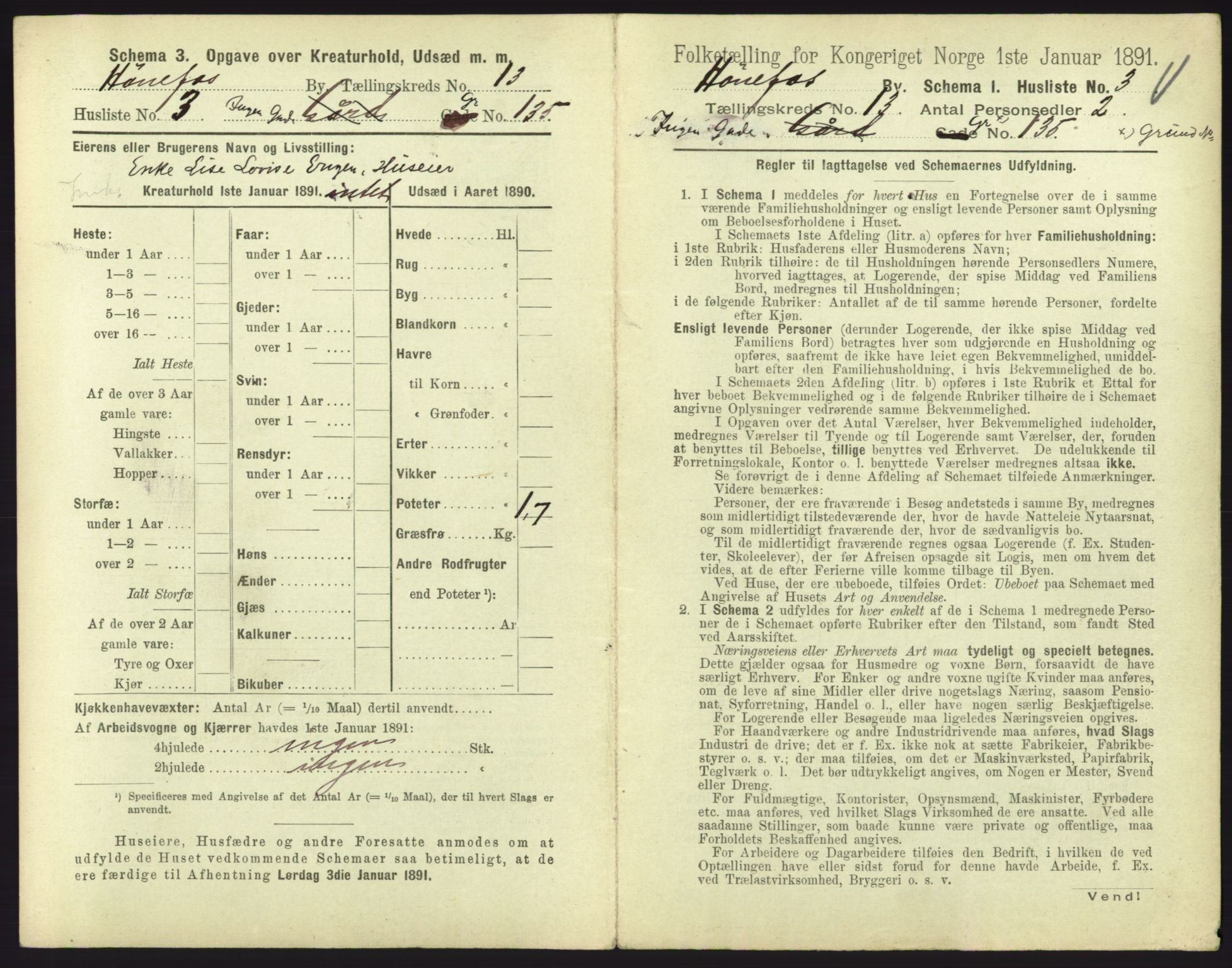 RA, 1891 census for 0601 Hønefoss, 1891, p. 293