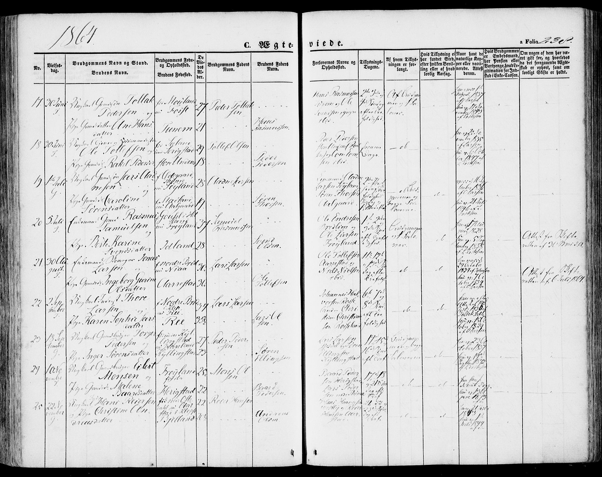 Lye sokneprestkontor, SAST/A-101794/001/30BA/L0007: Parish register (official) no. A 6, 1856-1871, p. 238