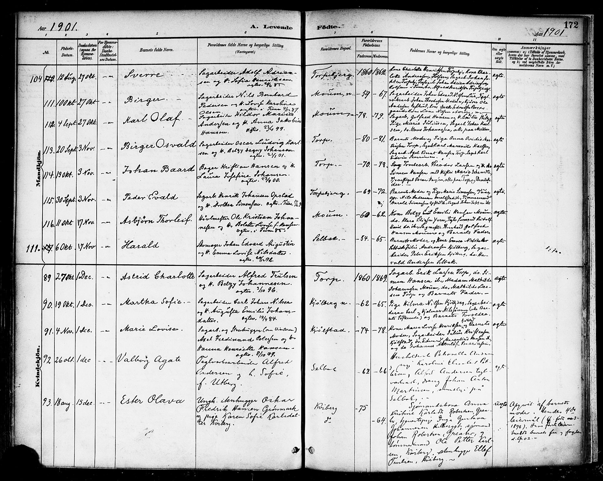 Borge prestekontor Kirkebøker, AV/SAO-A-10903/F/Fa/L0008: Parish register (official) no. I 8A, 1887-1902, p. 172