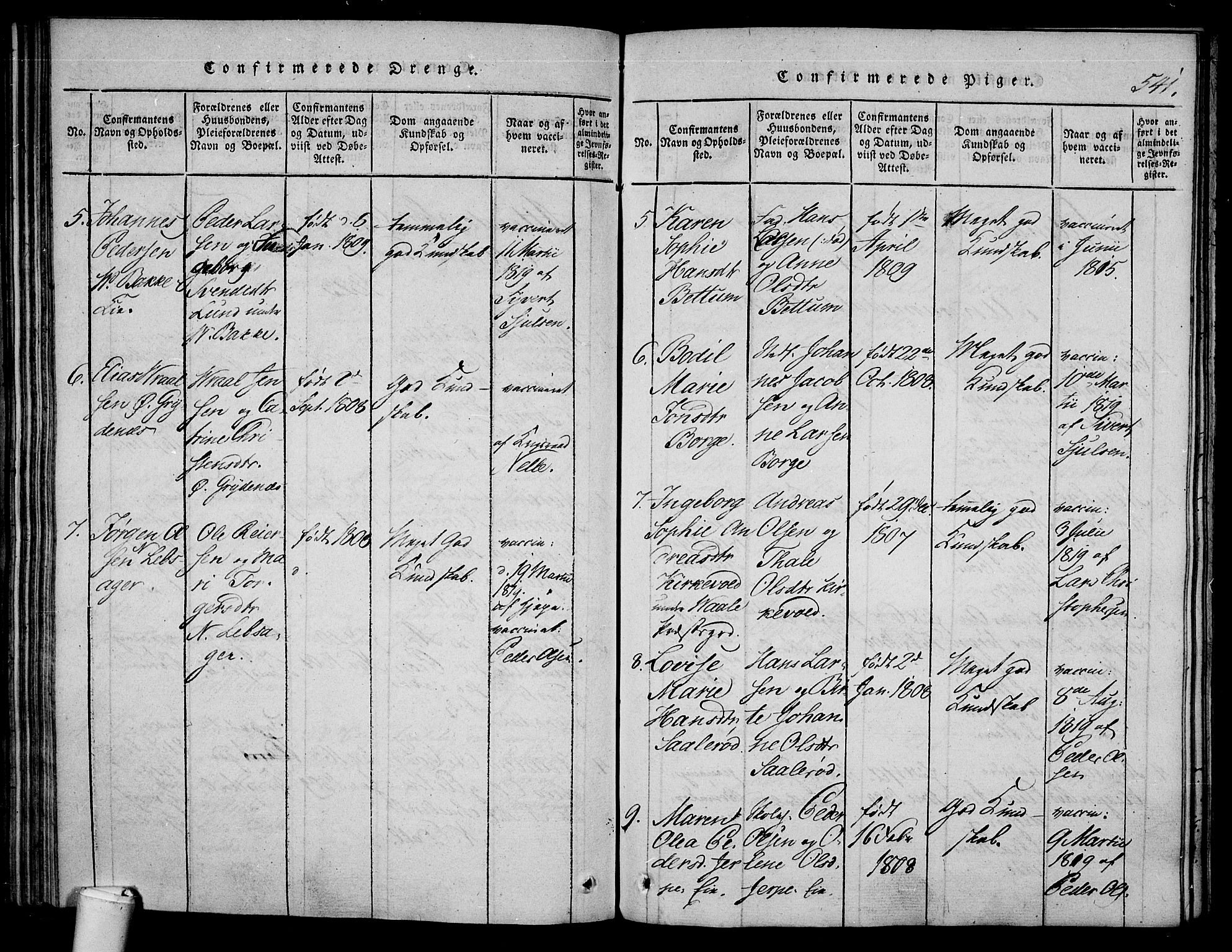 Våle kirkebøker, SAKO/A-334/F/Fa/L0007: Parish register (official) no. I 7, 1814-1824, p. 540-541